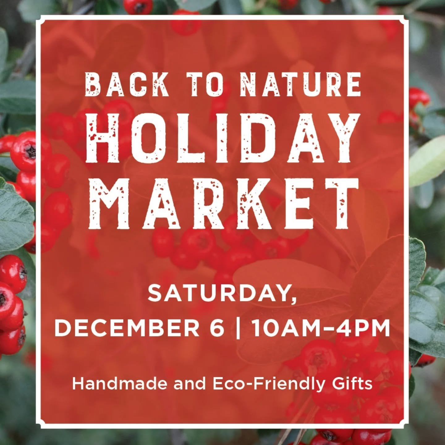 I am returning to the @chattahoocheenaturecenter Back to Nature Holiday Market this December! ✌️🦅

This year I will have even more birds in watercolor and ink - eagles, puffins, owls, and more - as well as some forest creatures. 🦊 Some pieces will 