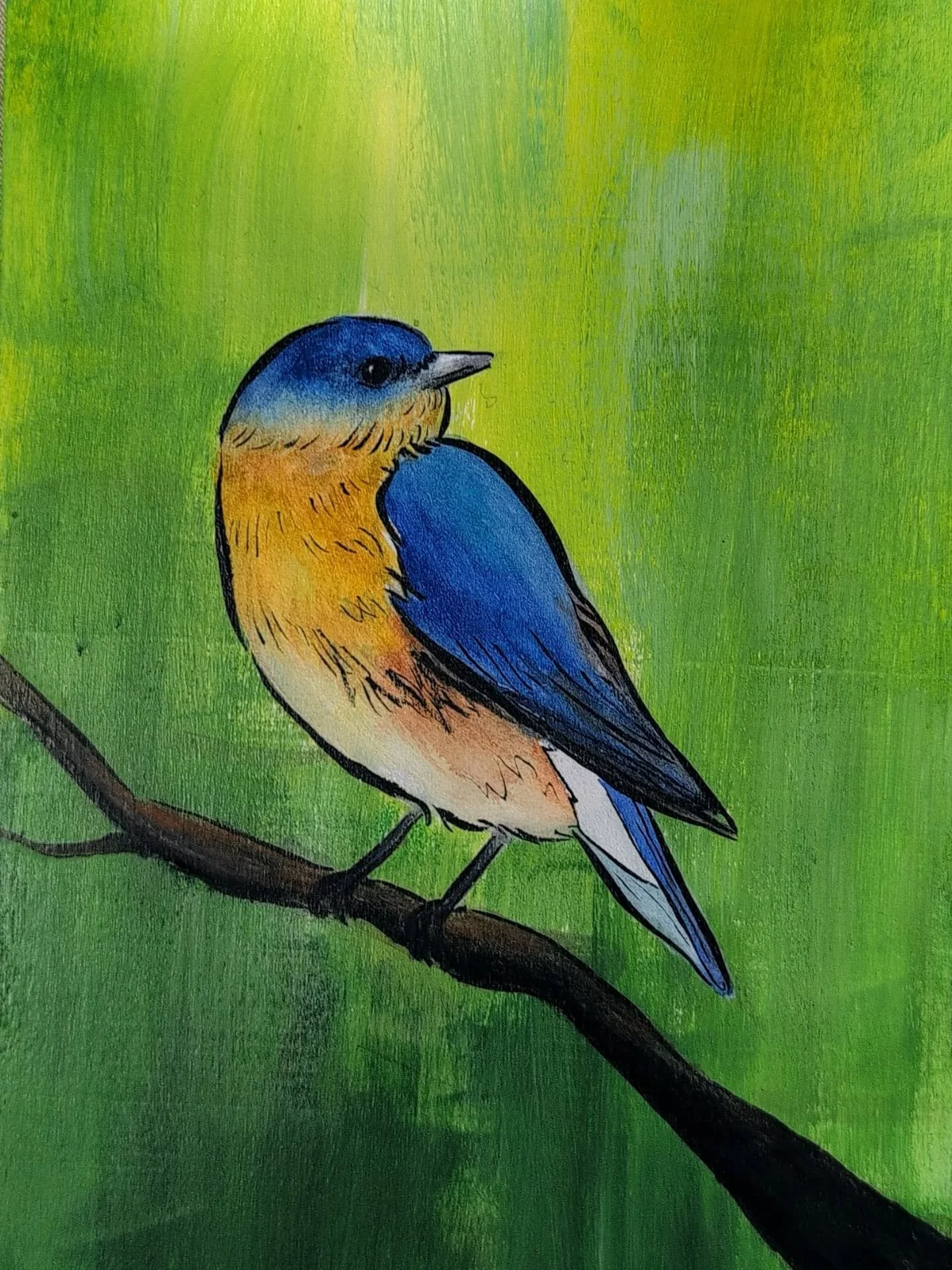 Both sad and happy to see this Eastern Bluebird go to a new home today! It was my first truly mixed media experiment - acrylic on wood as the background, then overlaying with watercolor and ink, with some accents using colored pencils and gouache. 

