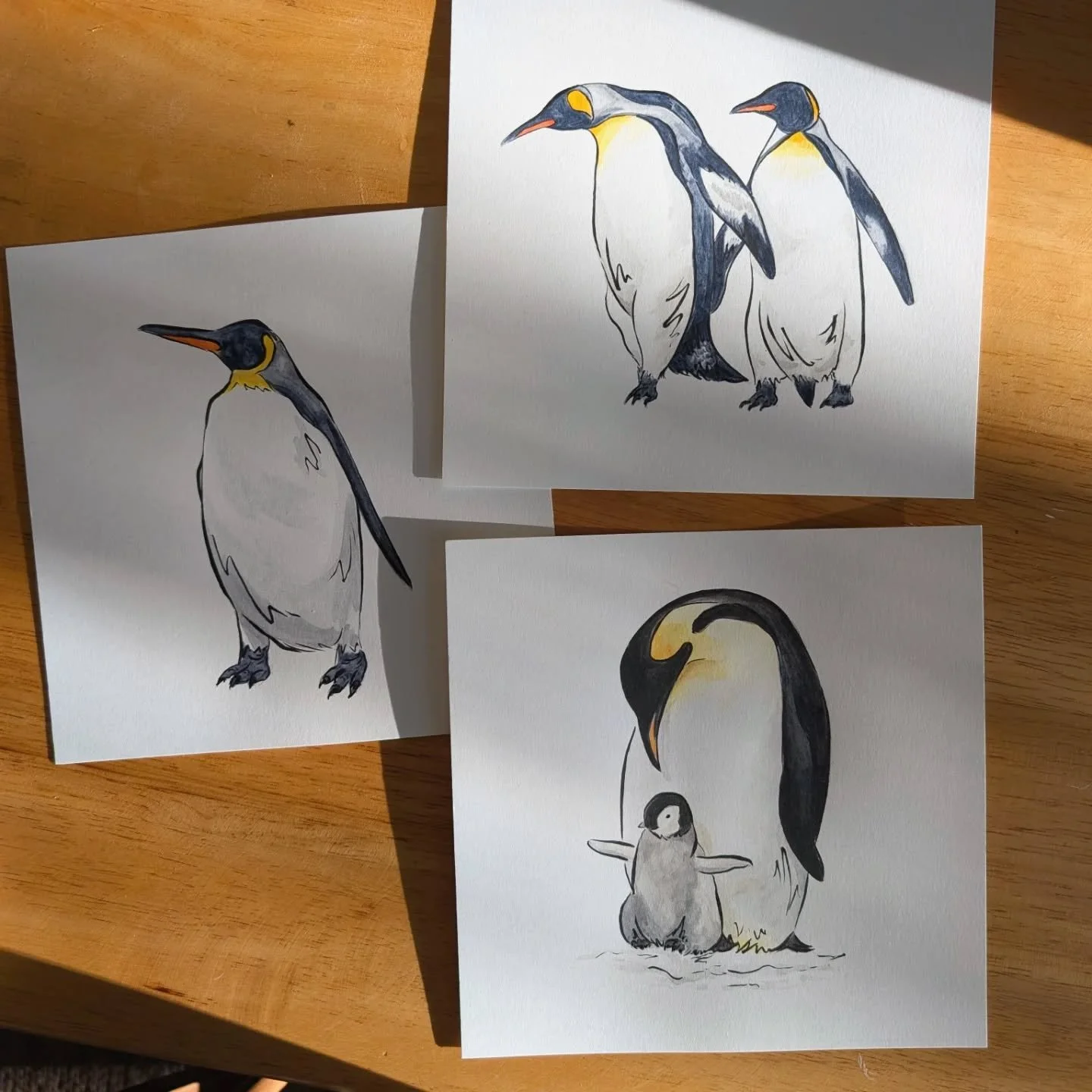 Back to birds for now... 🐧Thinking of making a  penguin print to accompany my puffins! 

#penguinart #watercolorpenguin