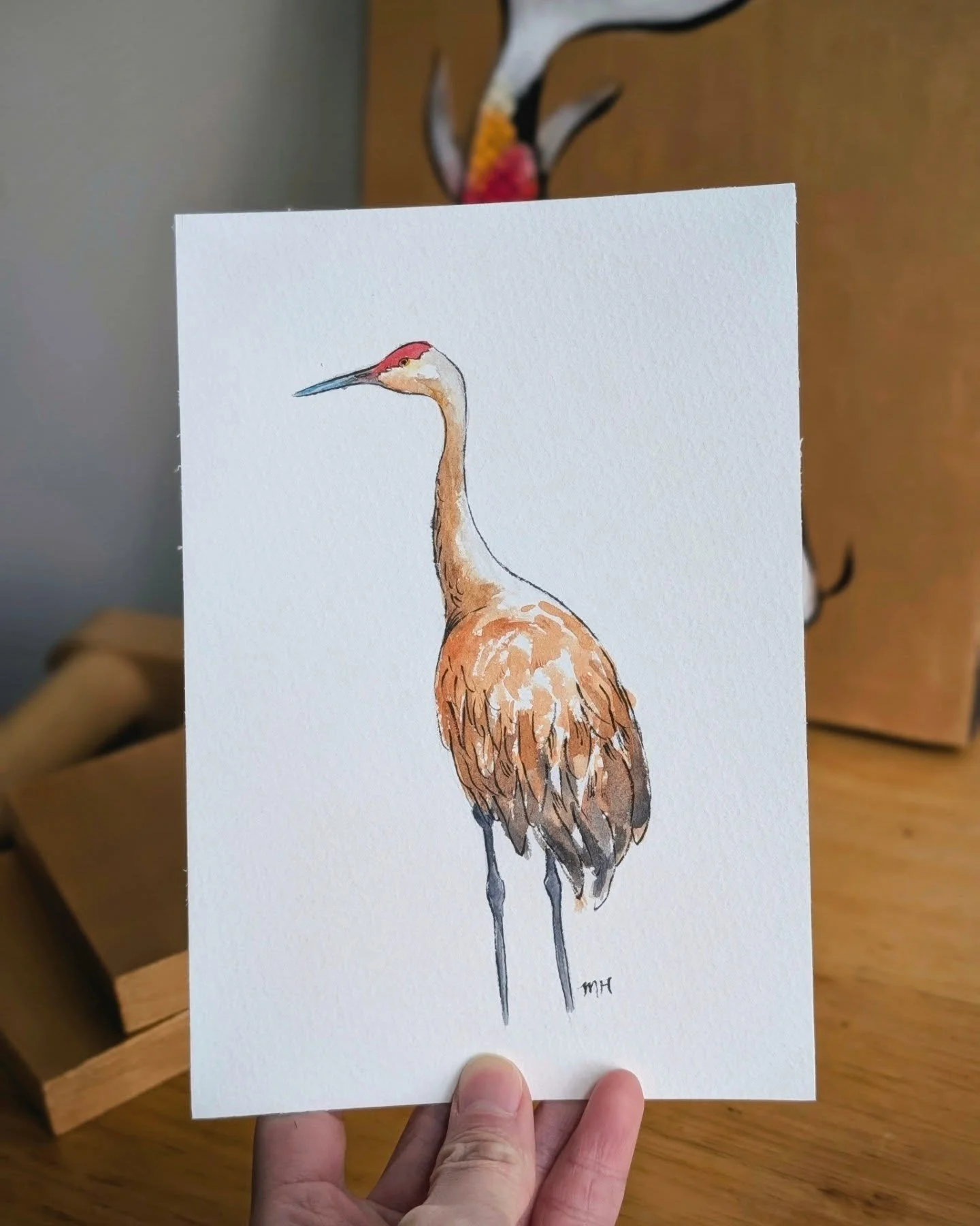 My bestsellers are still my 5x7 hand-painted bird sketches. Not only do I love painting them, but I love hearing about everyone's favorite bird(s) or stories about why a certain bird means something to them. 🥰

I've heard wonderful anecdotes about b