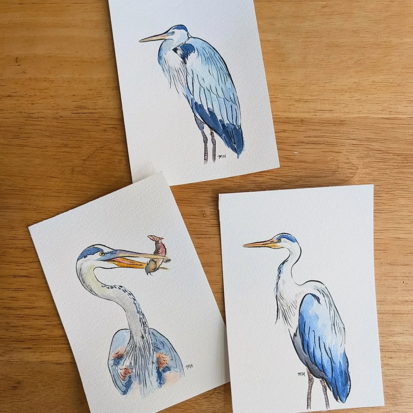 I will be at the @chattahoocheenaturecenter Butterfly Festival this weekend to sell pollinator &amp; other wildlife art (such as this great blue heron art 💙) and teach you and your kids how to fold an origami butterfly! 

There will be a butterfly e