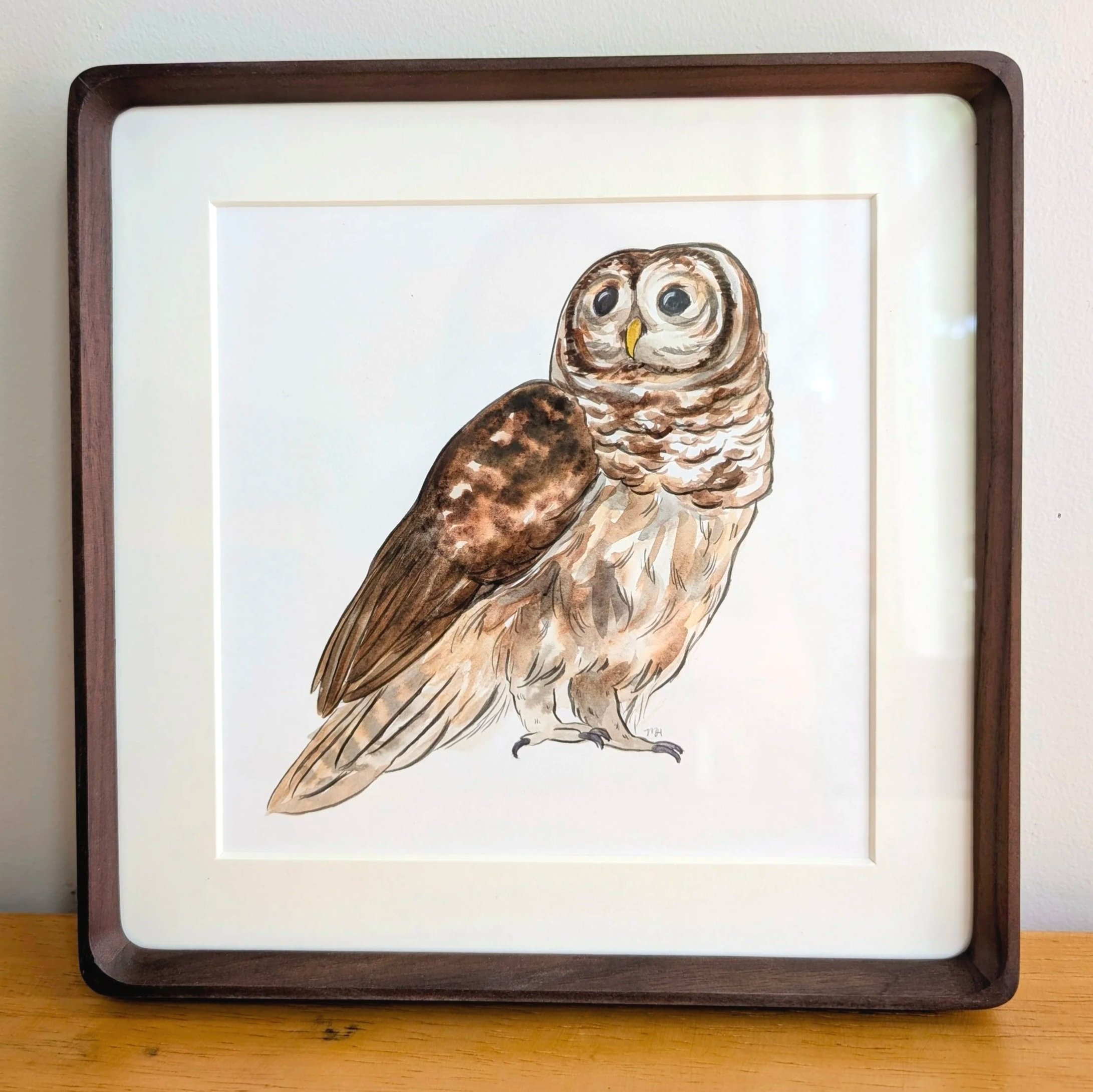 Barred Owl
Watercolor on paper
8x8