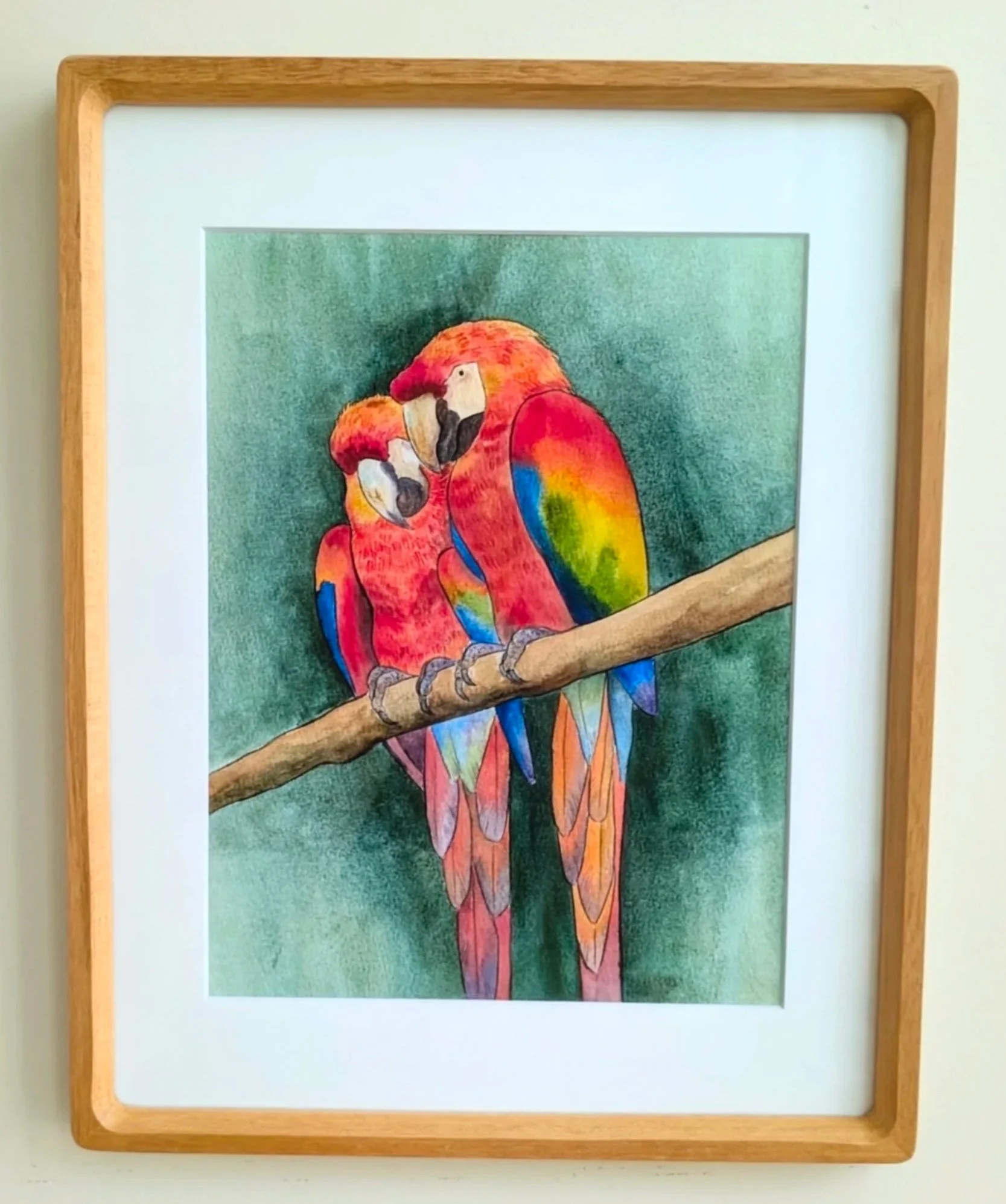 Pair of Macaws
Watercolor on paper
9x12 matted to 11x14