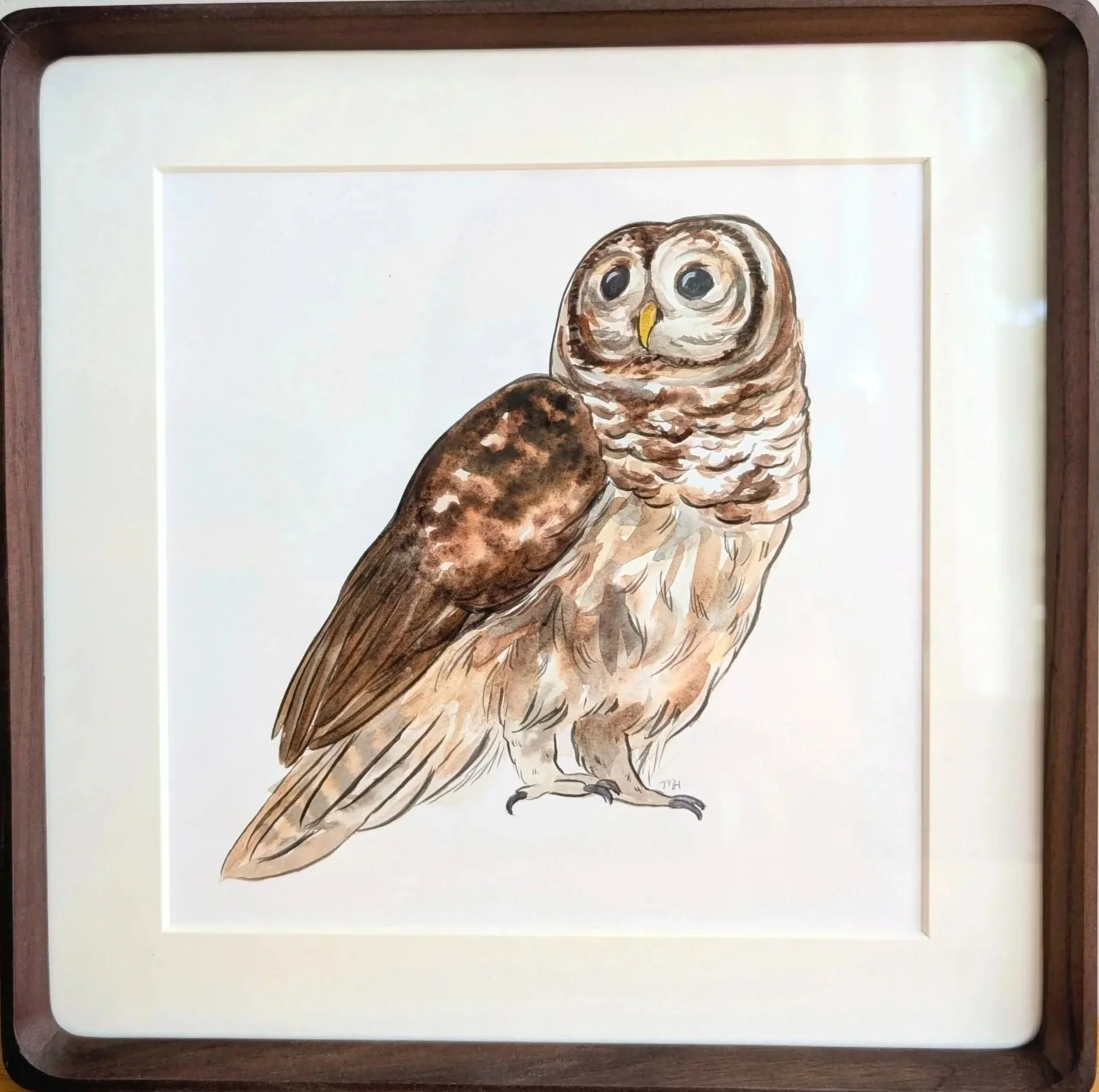 Barred Owl
Watercolor on paper
8 x 8 in.