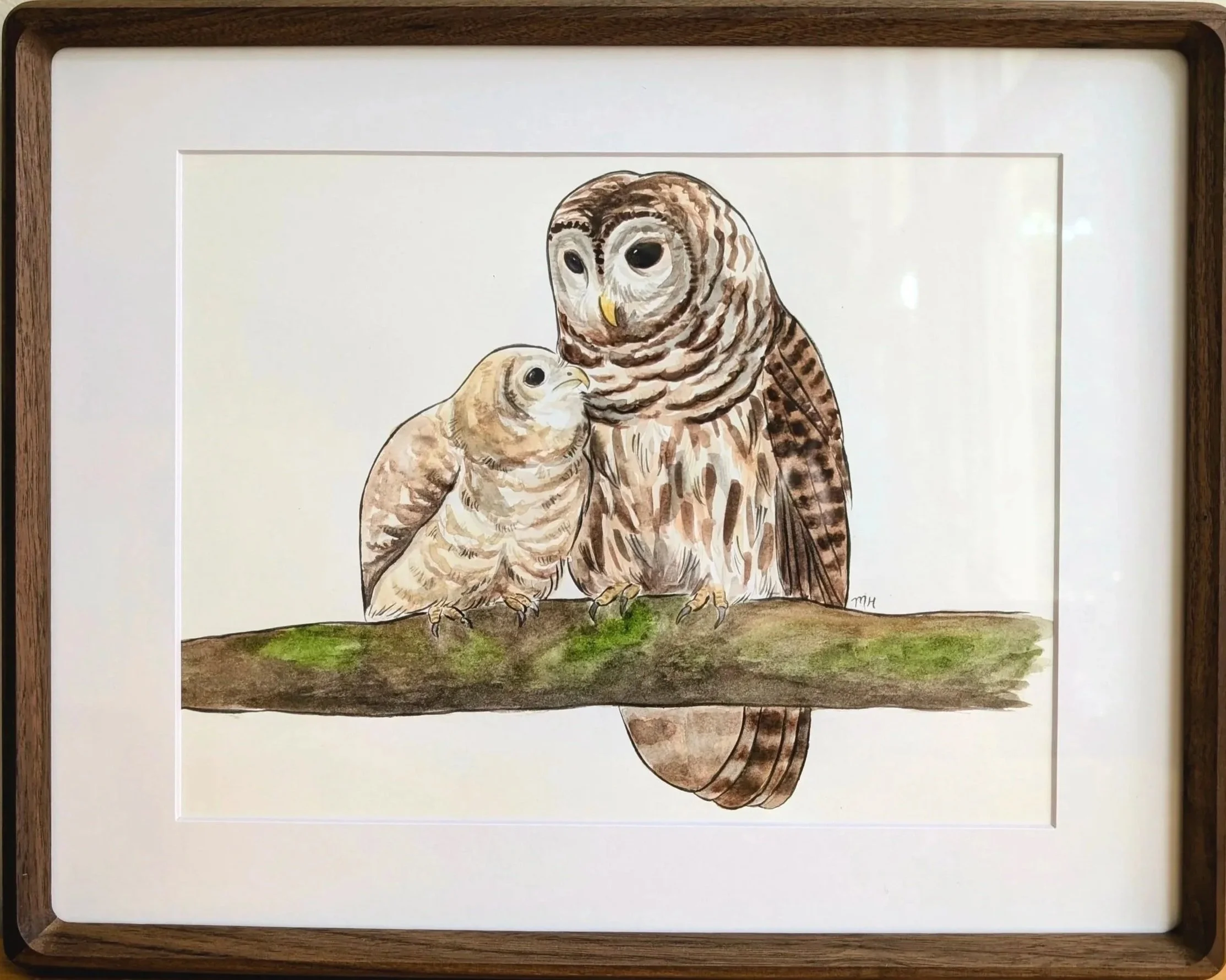 Barred Owl Mother & Baby
Watercolor on paper
8.5 x 11 in.