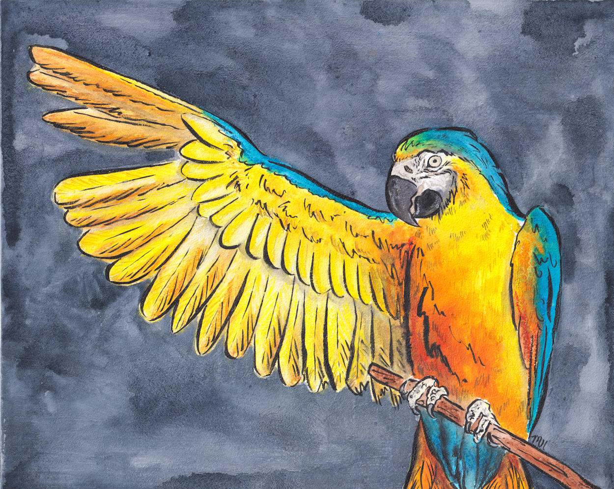 Macaw
Watercolor, watercolor crayon & ink on wood
10x8
