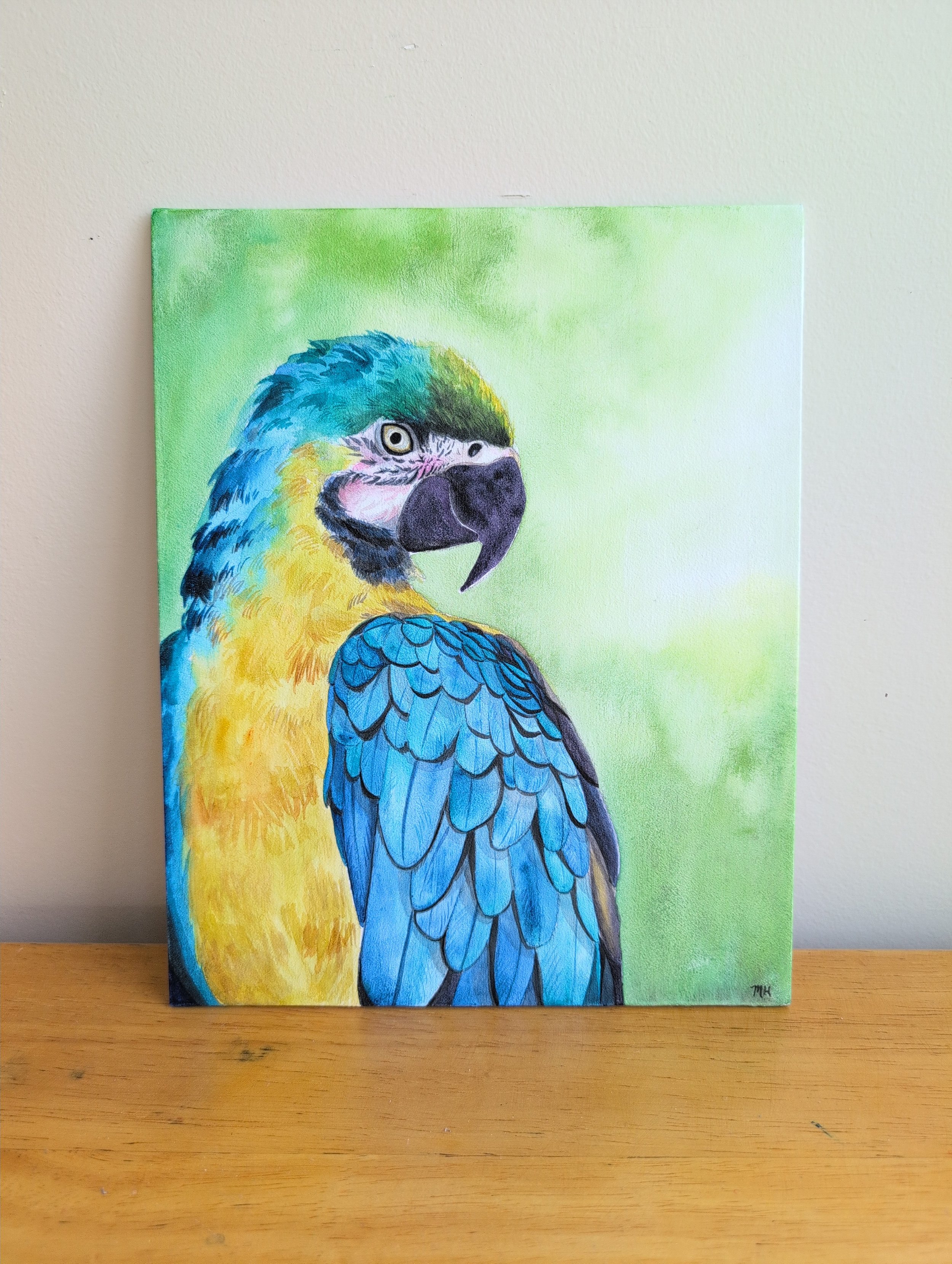 Blue-and-yellow Macaw
Watercolor on canvas
8x10