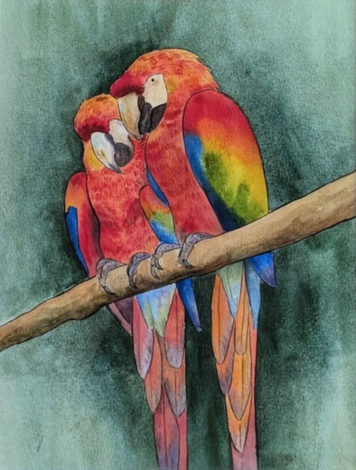 Pair of Macaws
Watercolor on paper
12 x 9 in.
