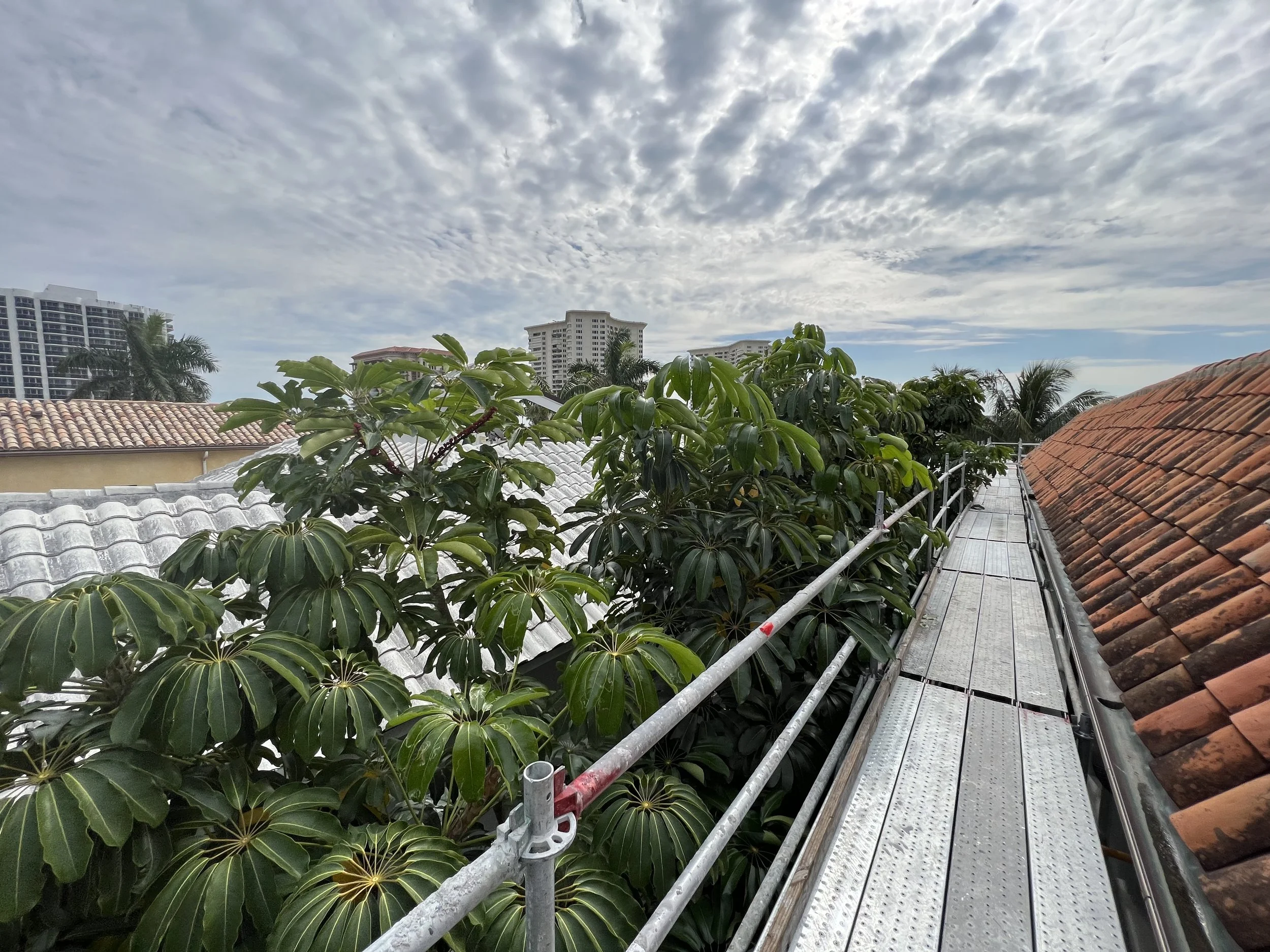 Custom Scaffolding built around residence in Boca raton florida