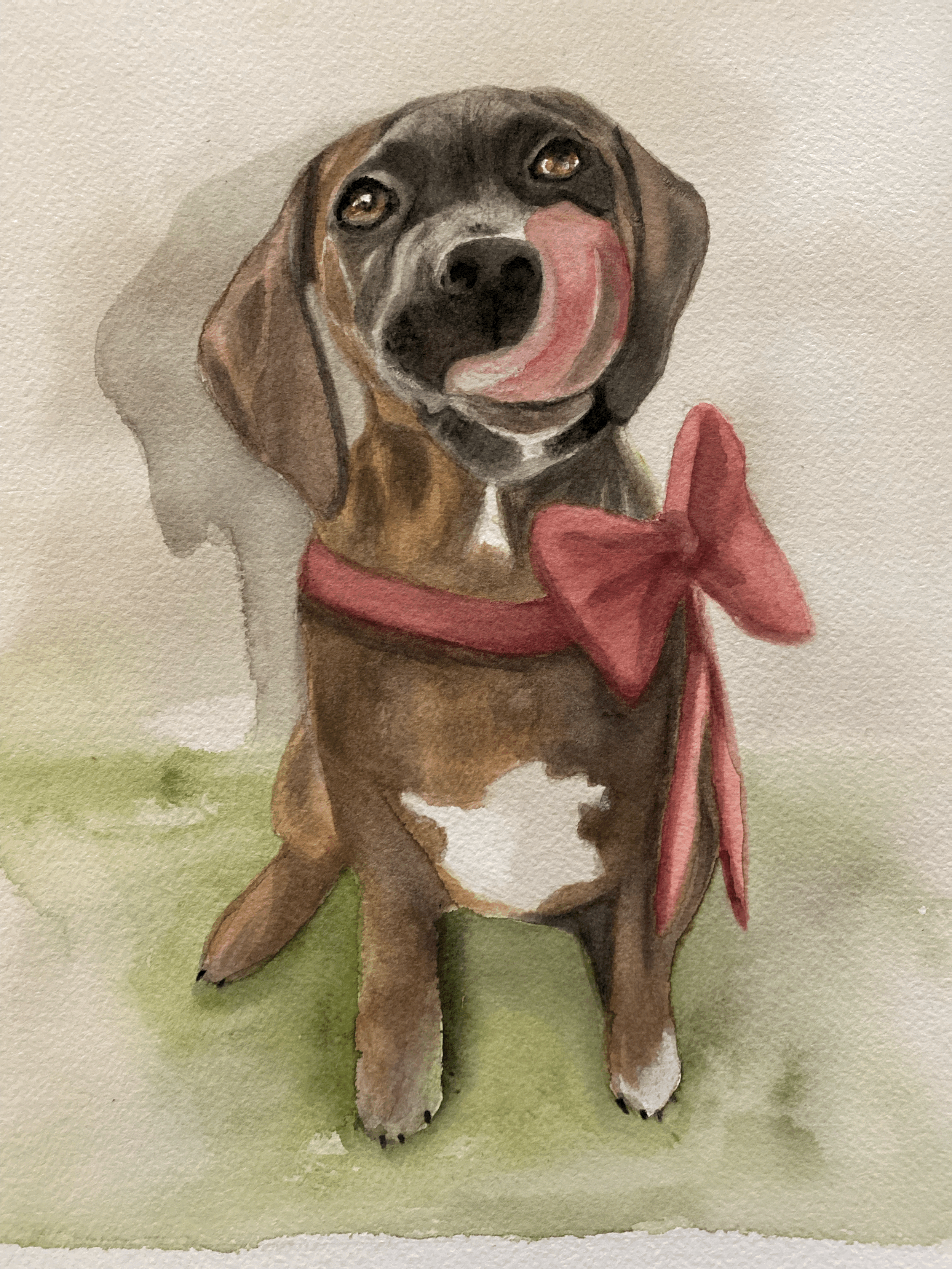 Puppy Holiday Cards