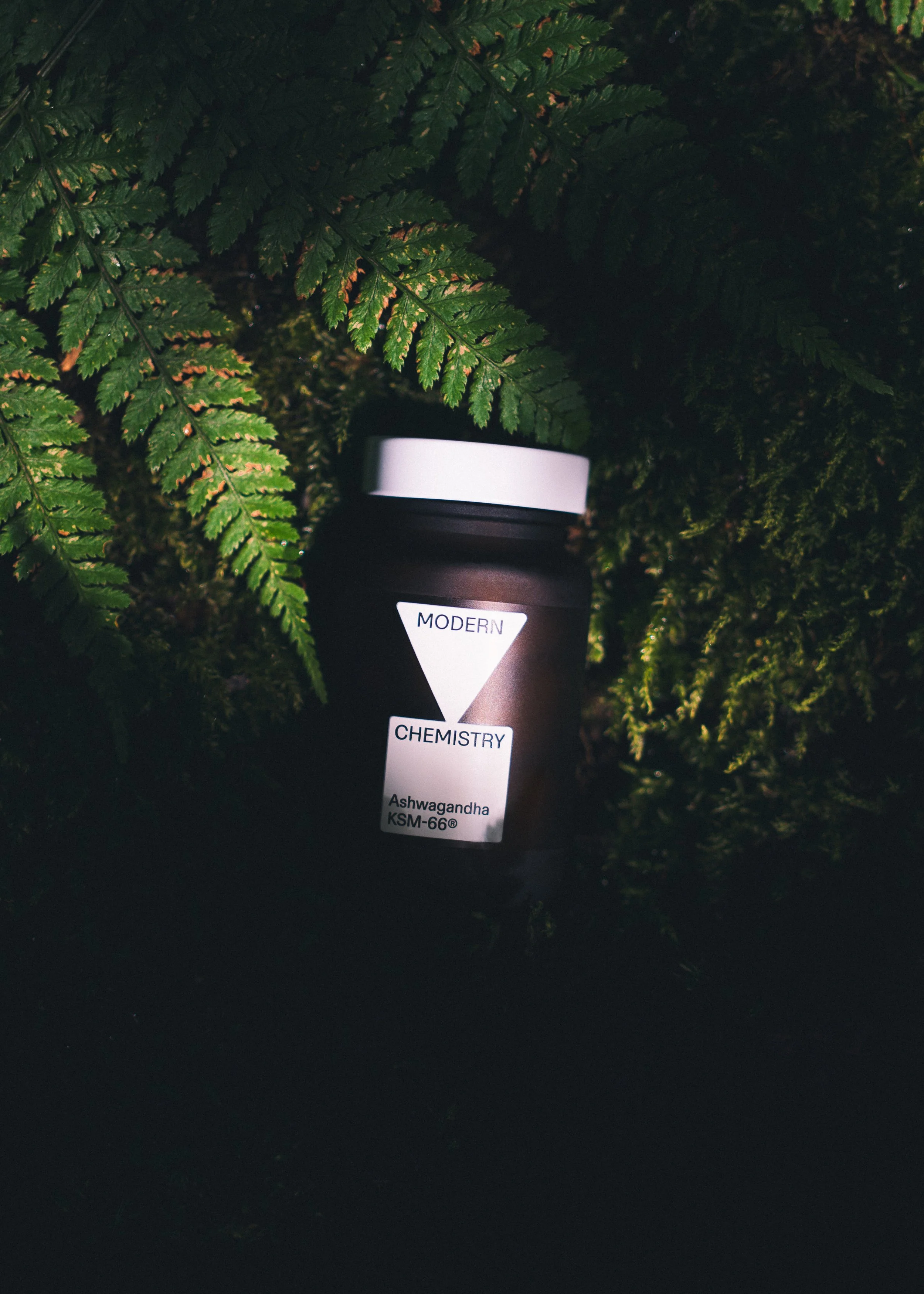 Product photography of Modern Chemistry supplements styled in nature, capturing wellness and science-led branding for ecommerce and marketing.