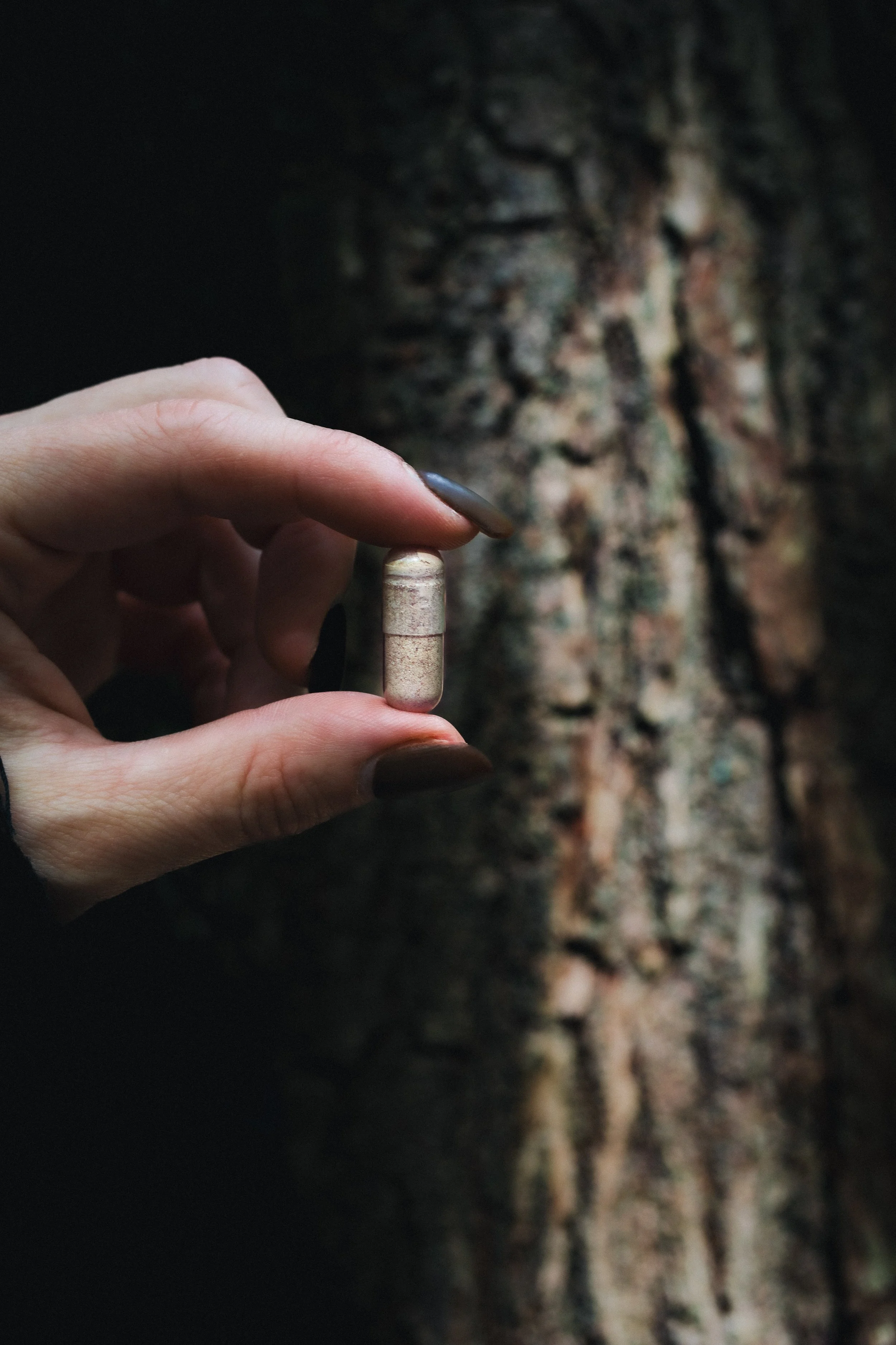 Brand photography capturing supplement capsule detail in a natural setting, styled for wellness campaign and product marketing.