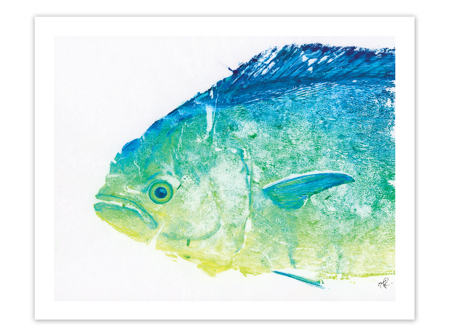 Mahi Head