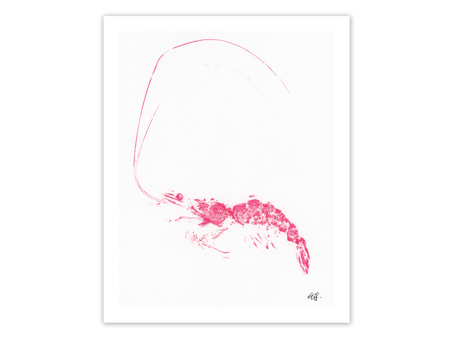 Shrimp Pink