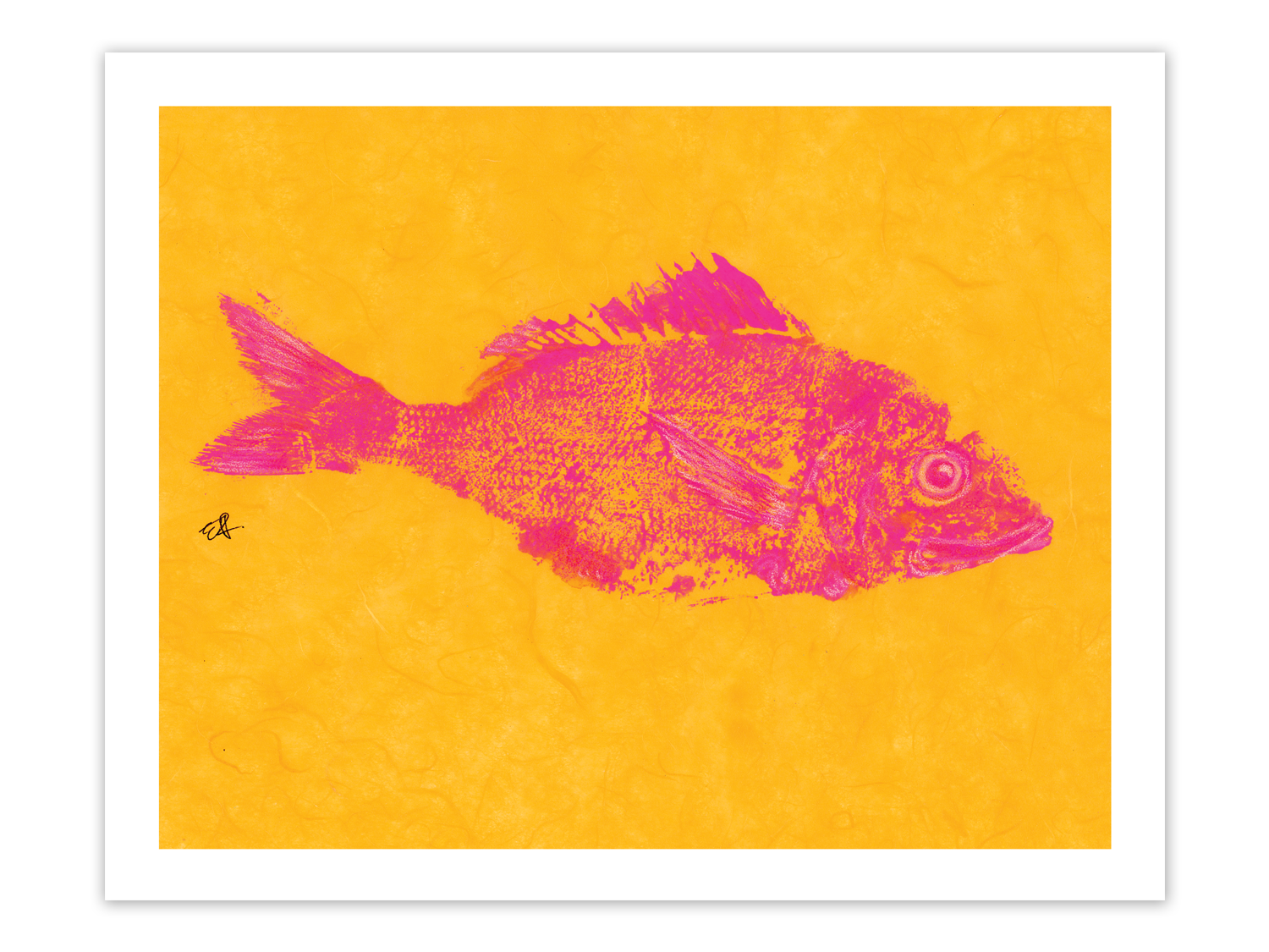 FishPrintGirl-Orange-Bunker-Pink-FishPrint.png