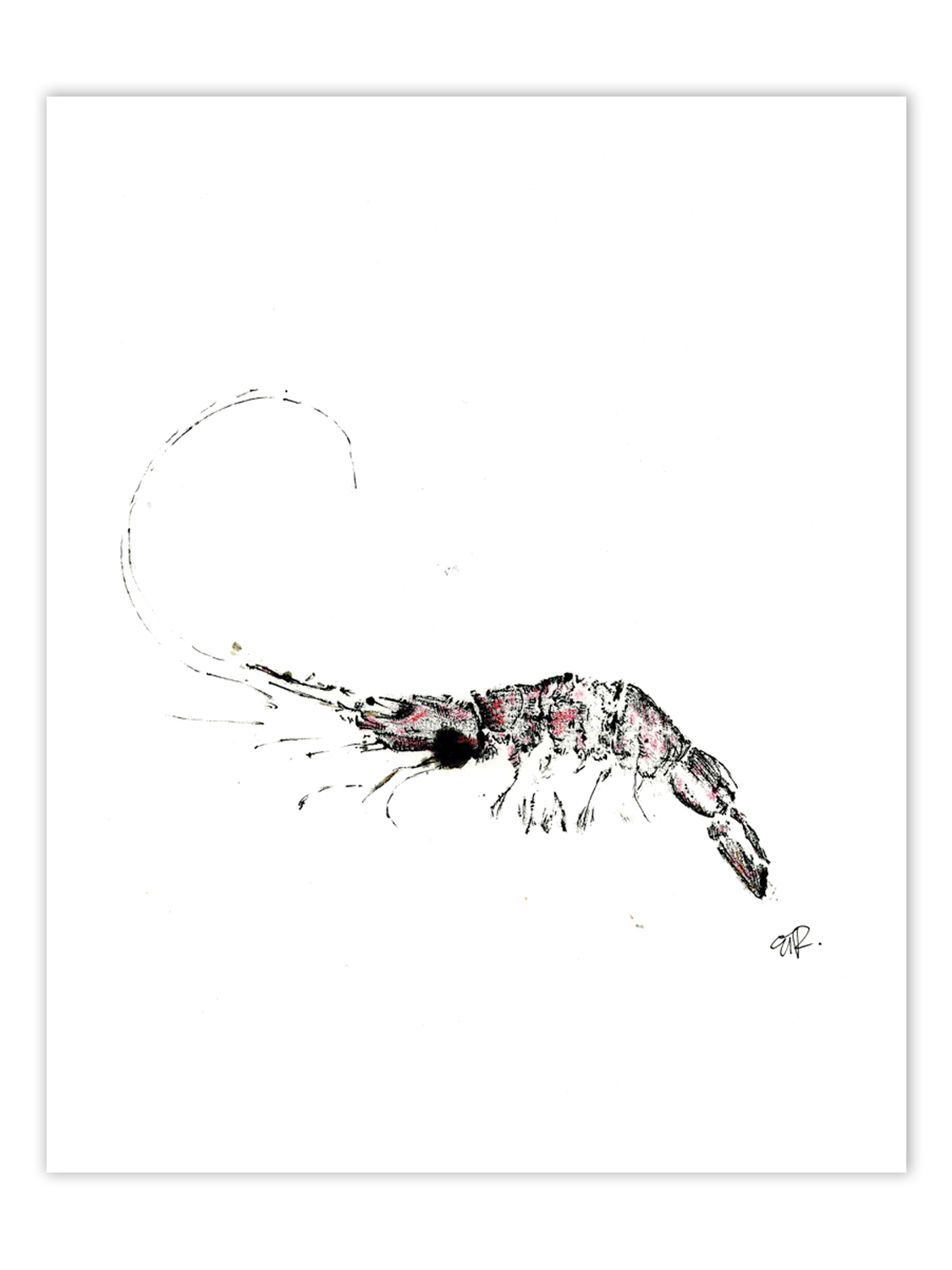 FishPrintGirl-Shrimp-red-black-gyotaku-2.png