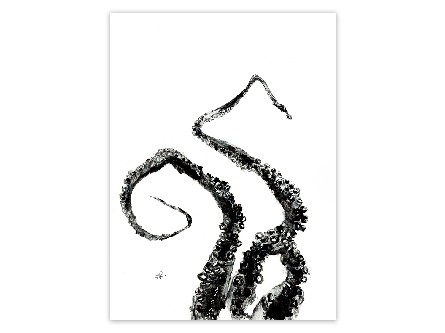 Octopus Tentacles IV