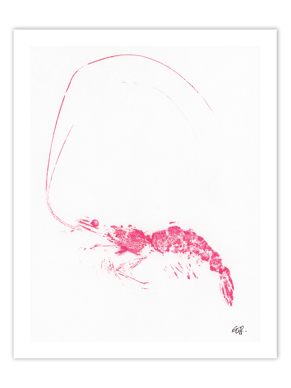 FishPrintGirl-Shrimp-Pink-Gyotaku-2.png