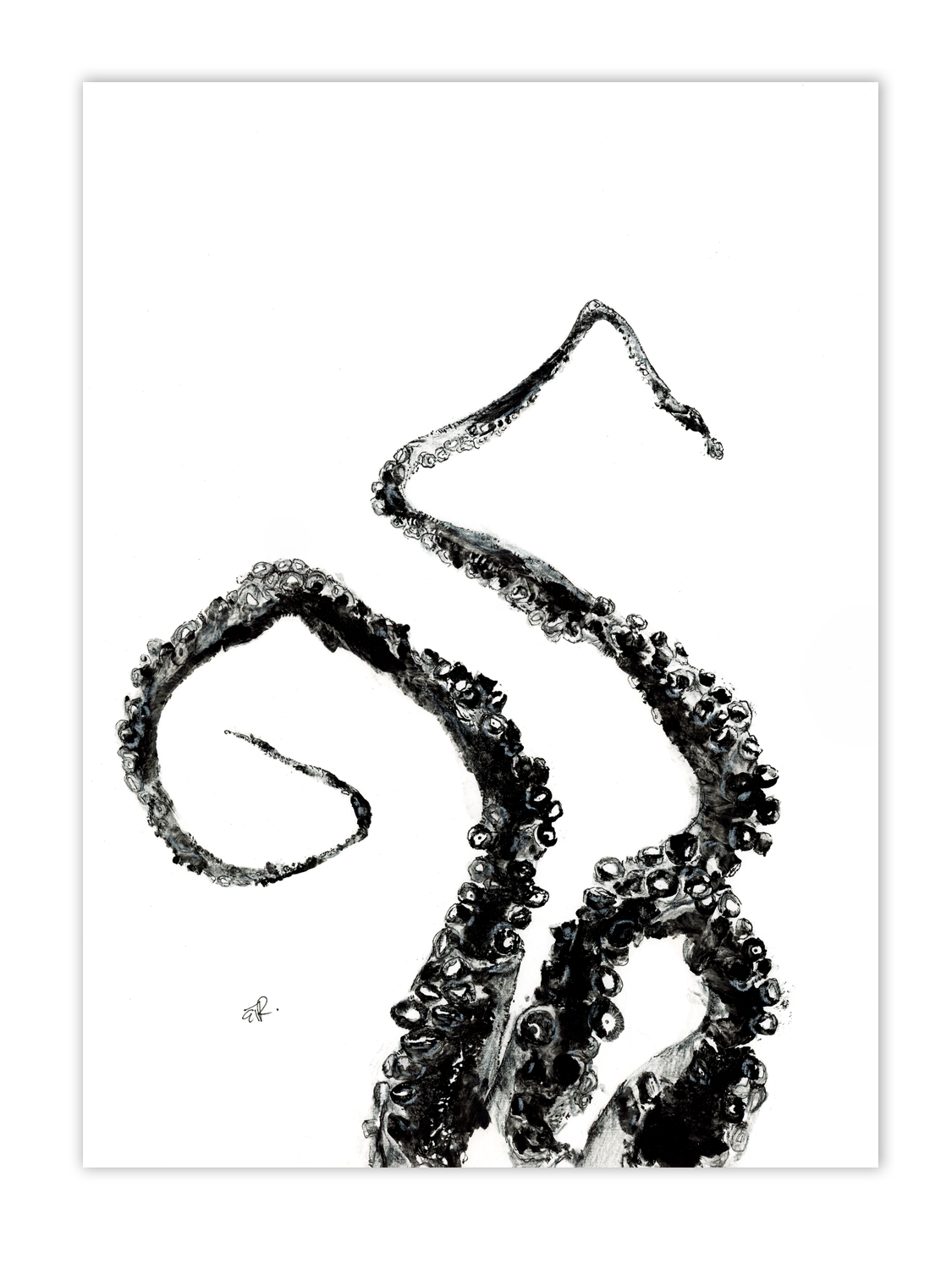 FishPrintGirl-Octopus-Tentacles-Black-Gyotaku-2.png