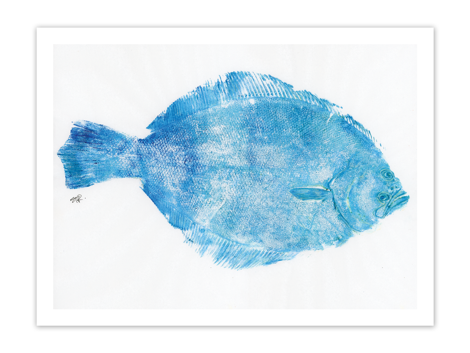 FishPrintGirl-Flounder-Blue-18x24.png