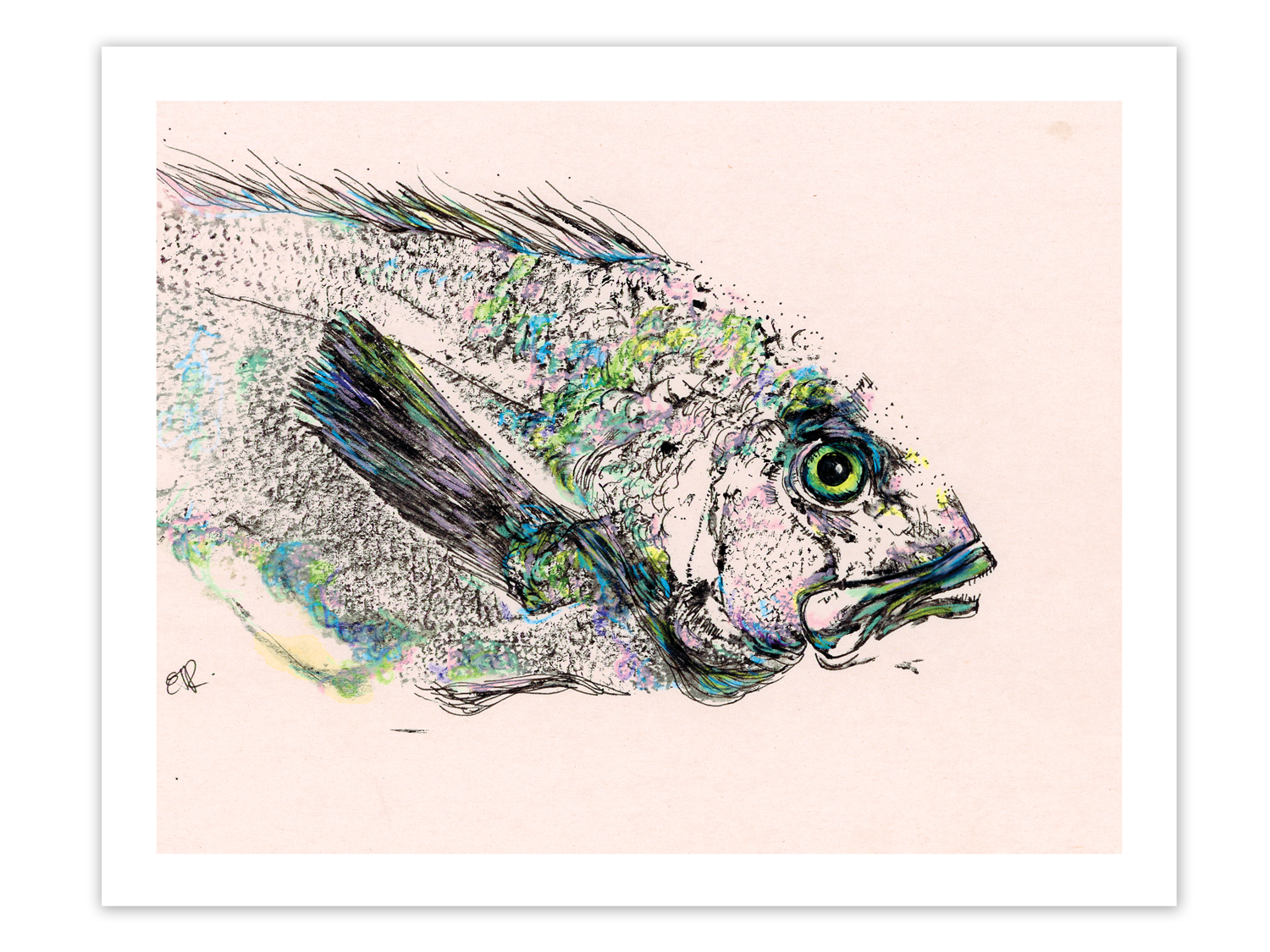 FishPrintGirl-Unicorn-Seabass-Gyotaku.png