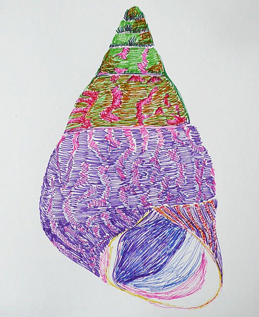 Shell XI:
Ink Drawing