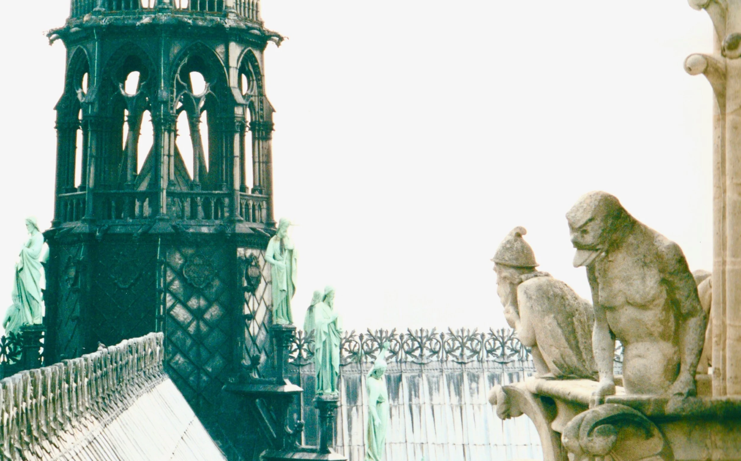 Notre Dame Gargoyles