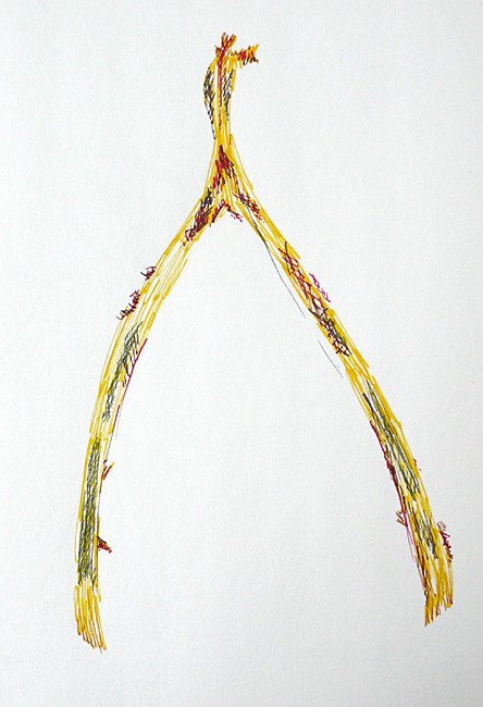 Wishbone:
Ink Drawing