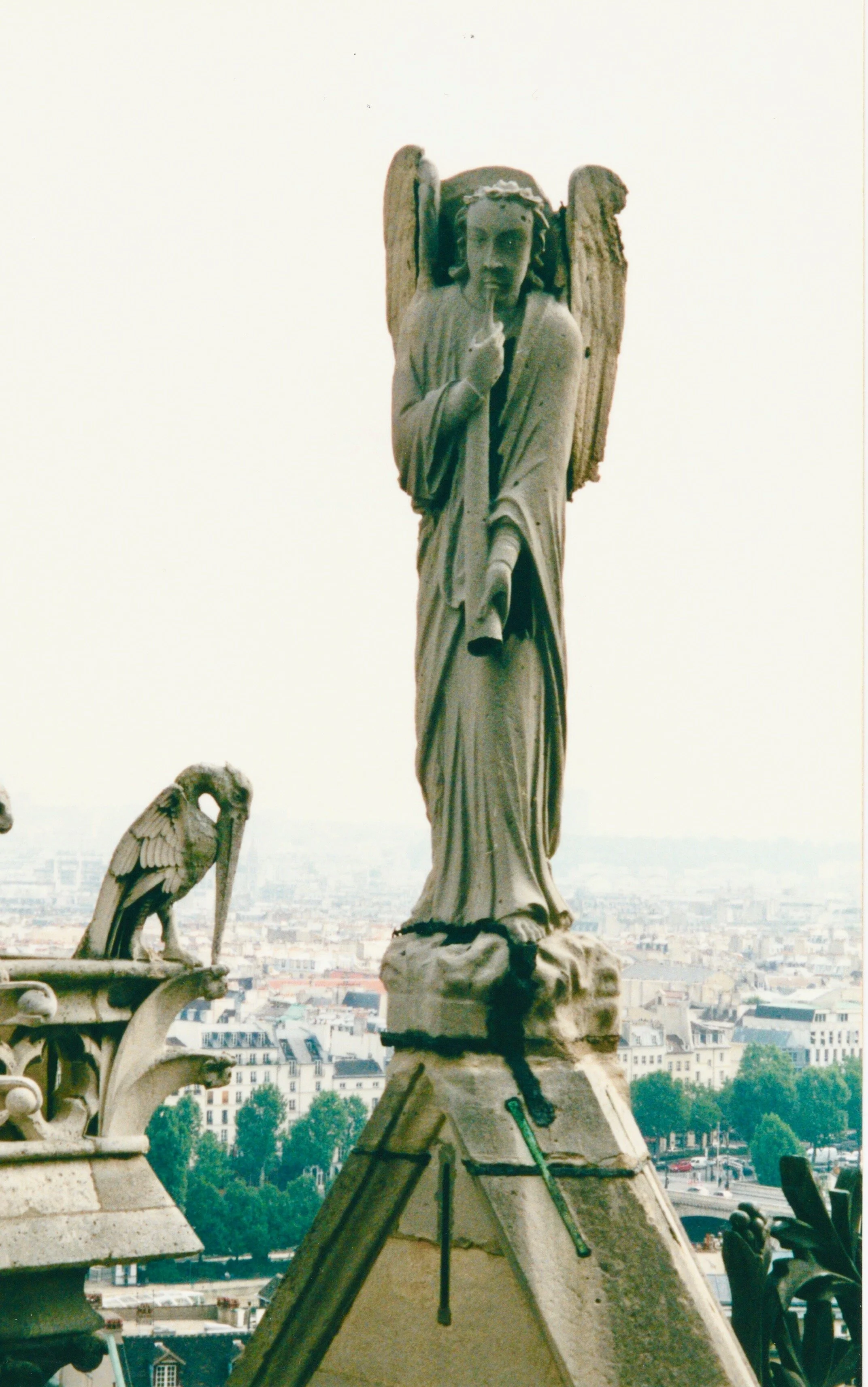 Notre Dame Gargoyle