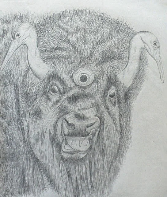 Buffalo Fisheye Crane:
Graphite on kitakata