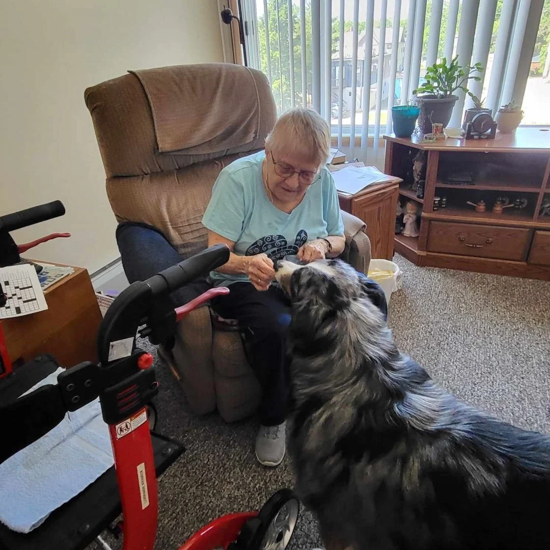 The Benefits of Pet Therapy in Senior Care