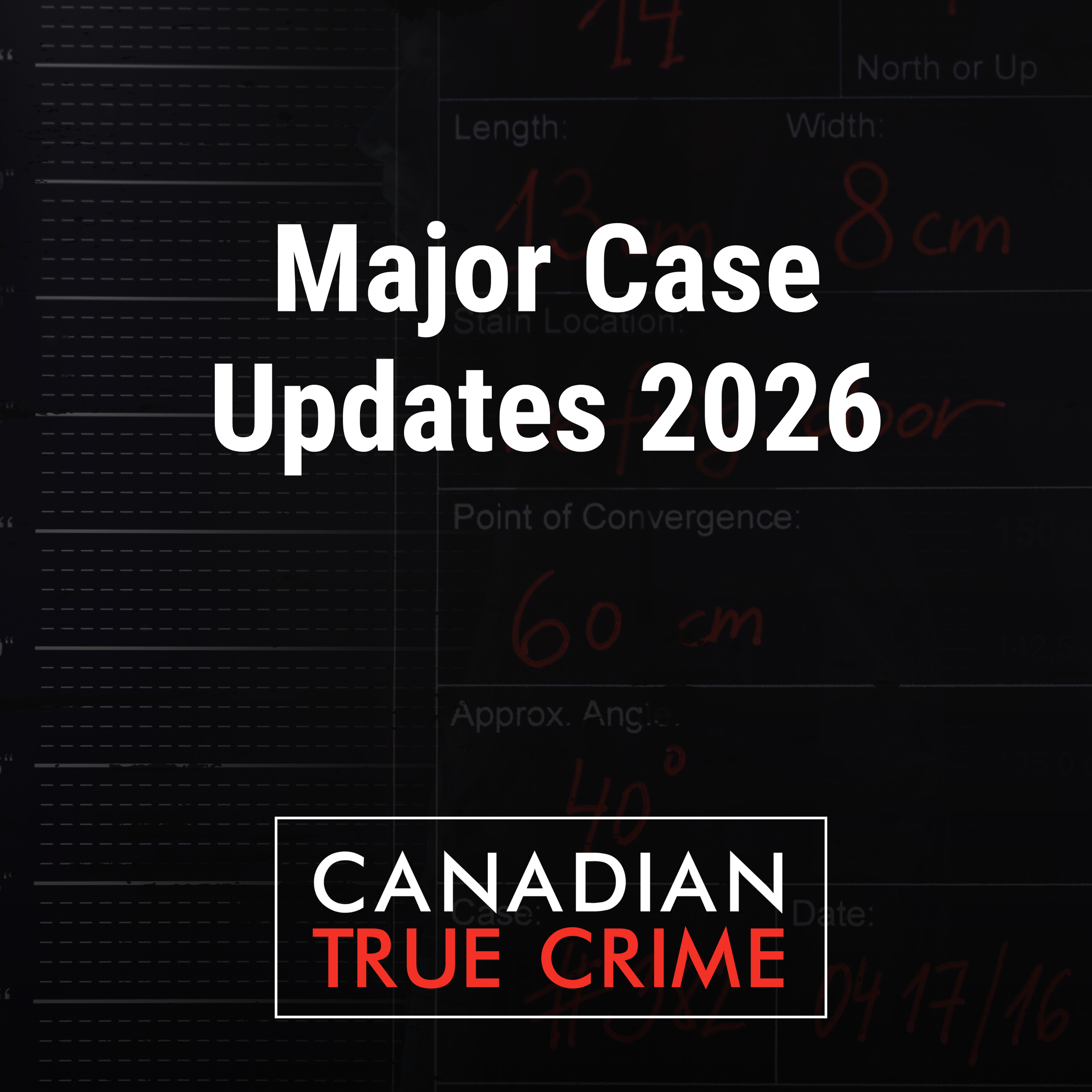 Major case updates: what happened next