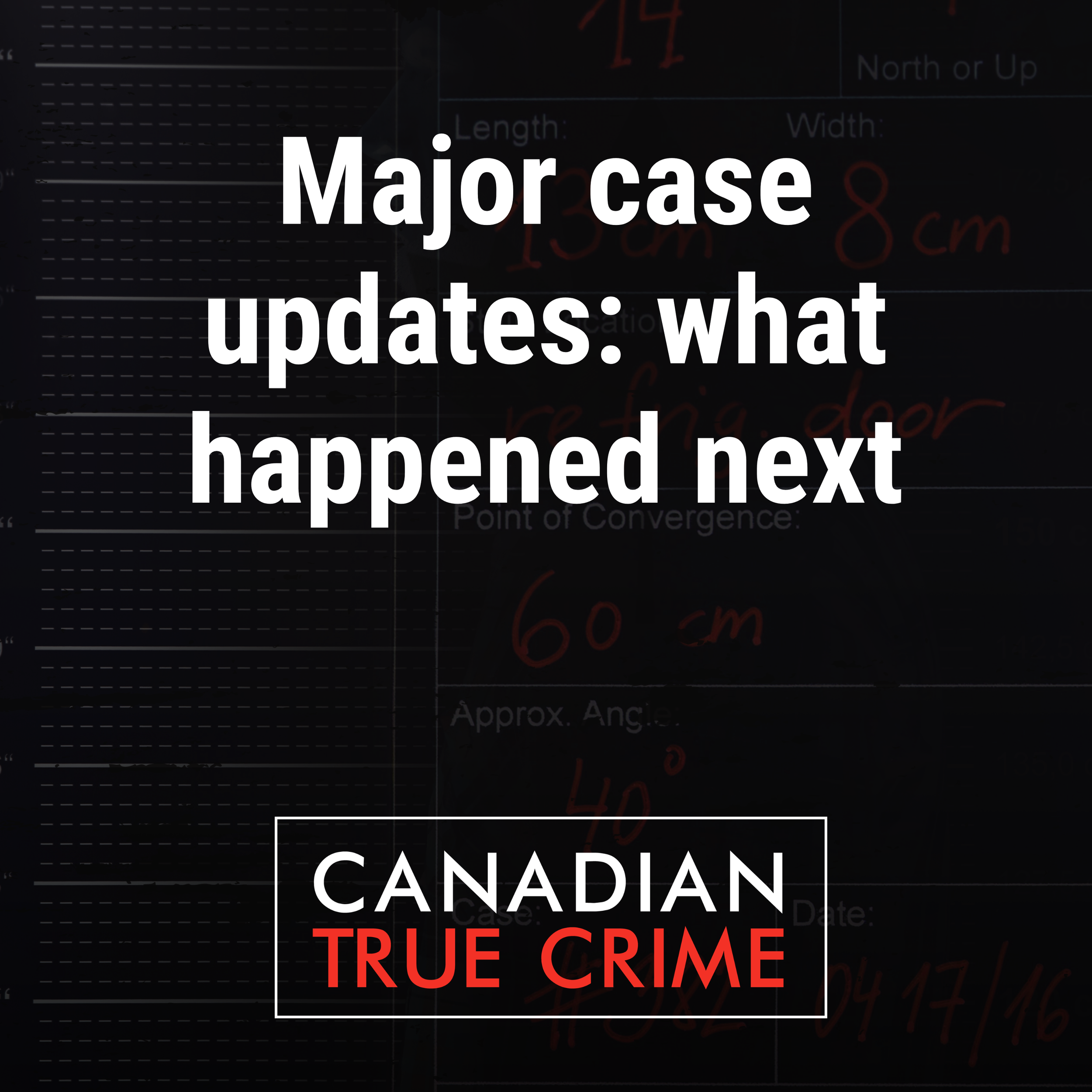 Major case updates: what happened next