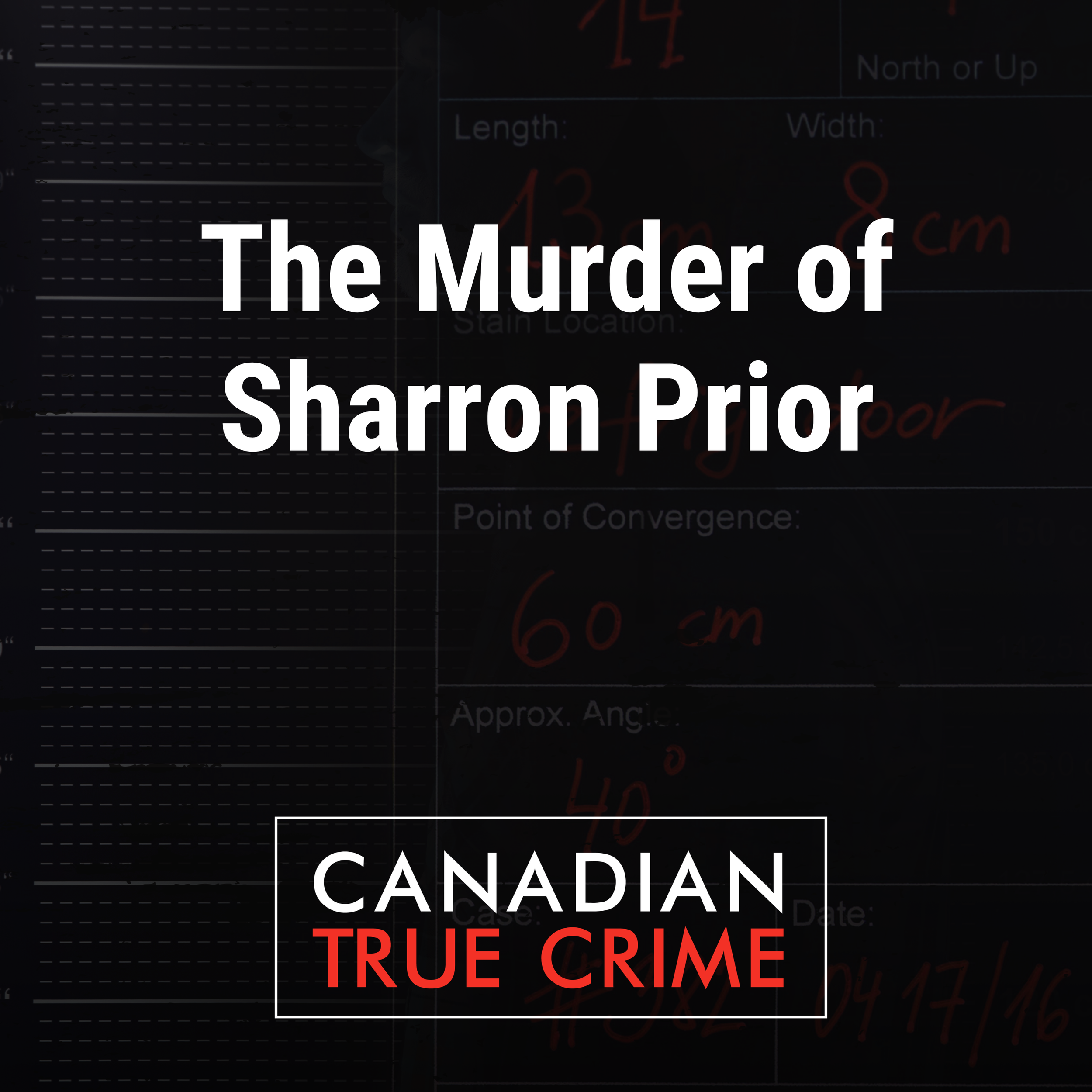 The Murder of Sharron Prior