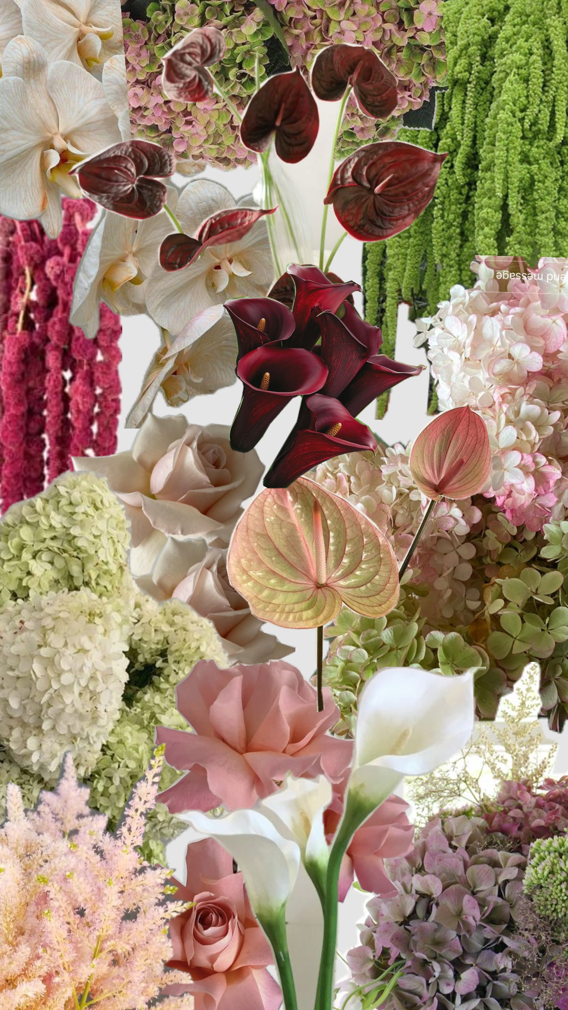 International Women’s Day — The Luxe Edit