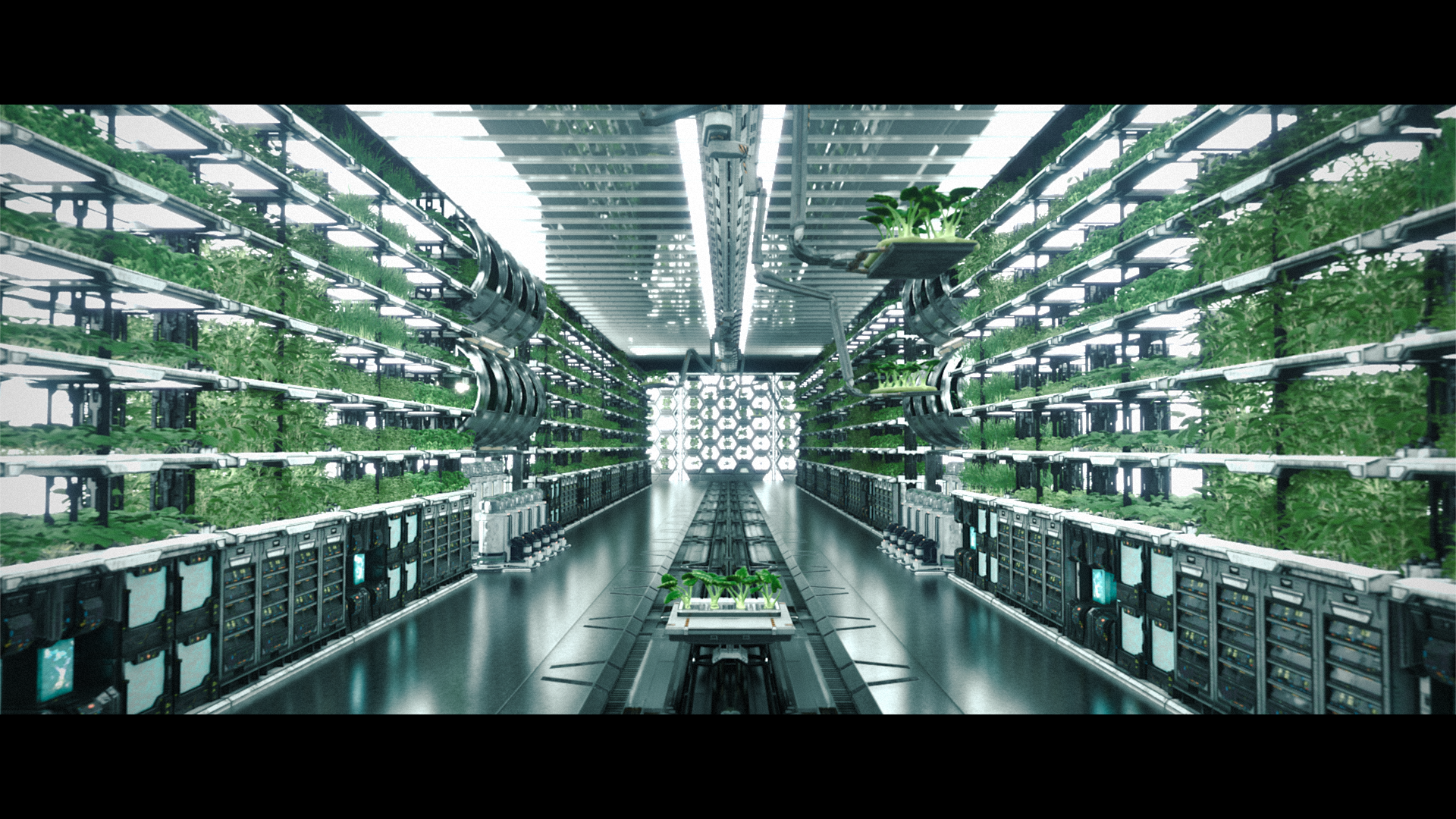 MAIN_FILM (00597).png