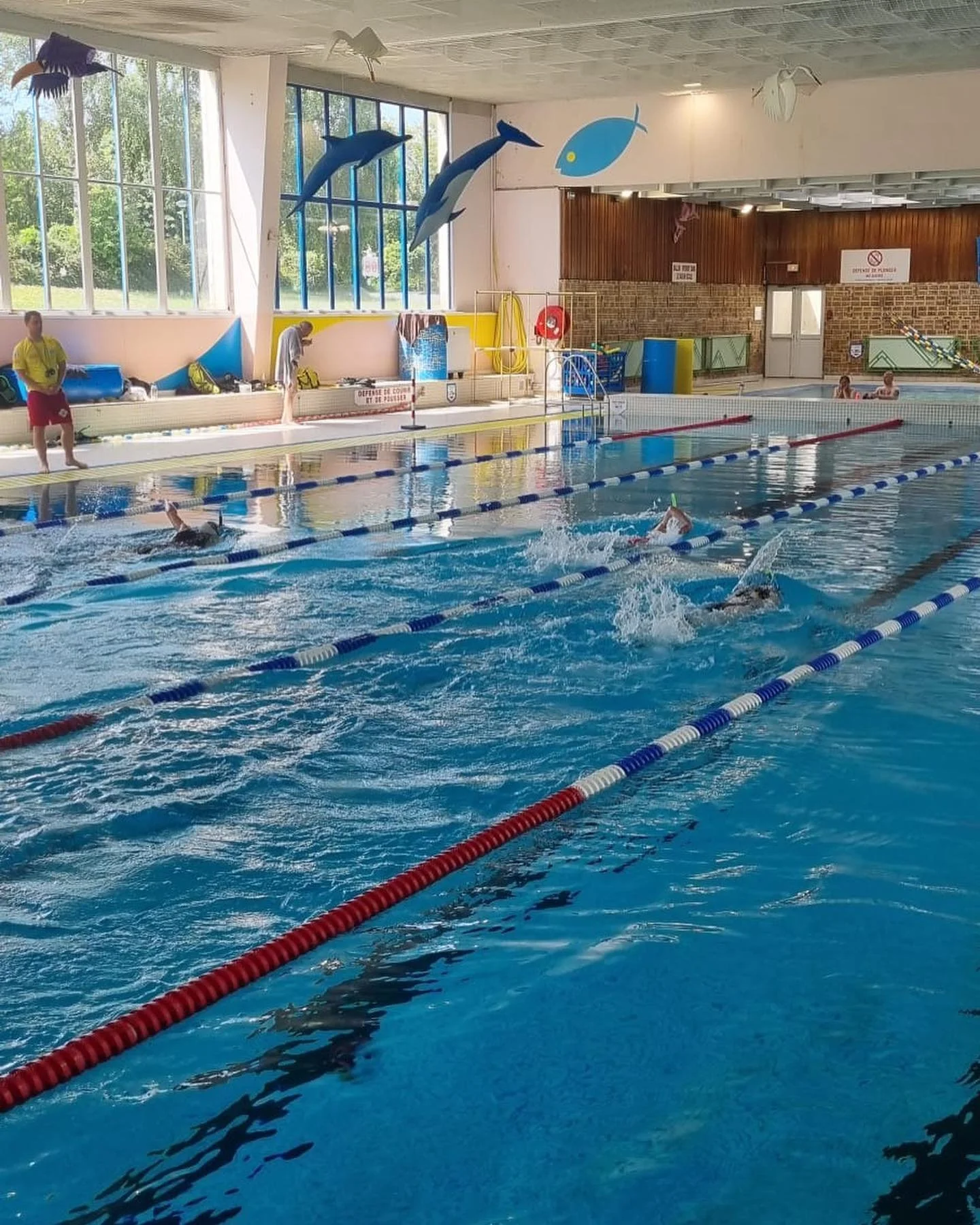 Nos nageurs en plein entrainement sur les lignes d'eau de la piscine du chemin vert