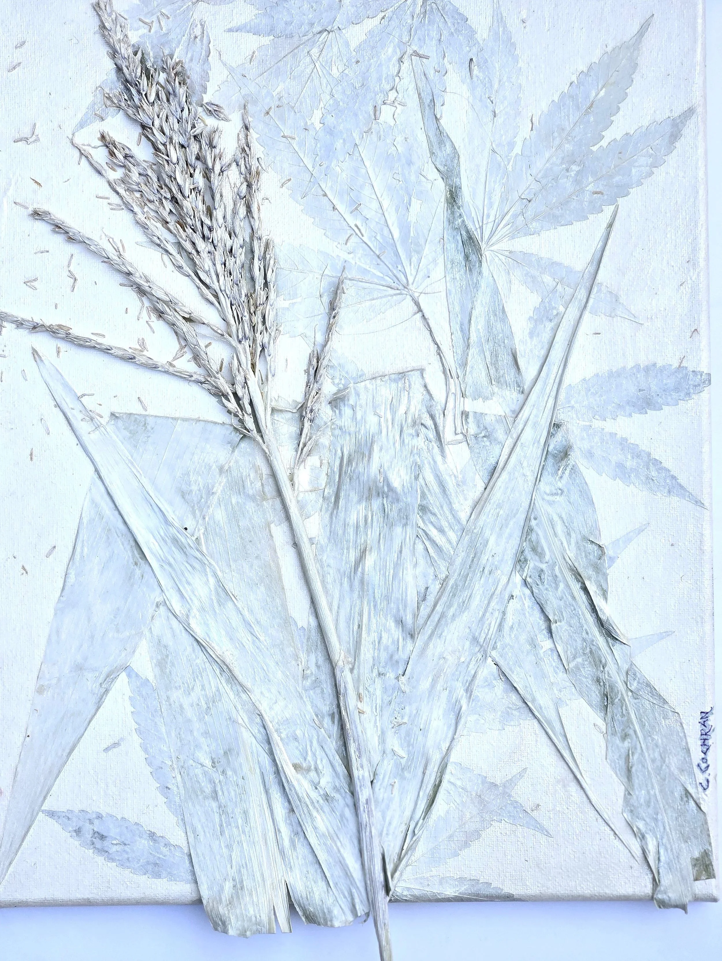 White Weeds 11"x14" Collage/Oil $400