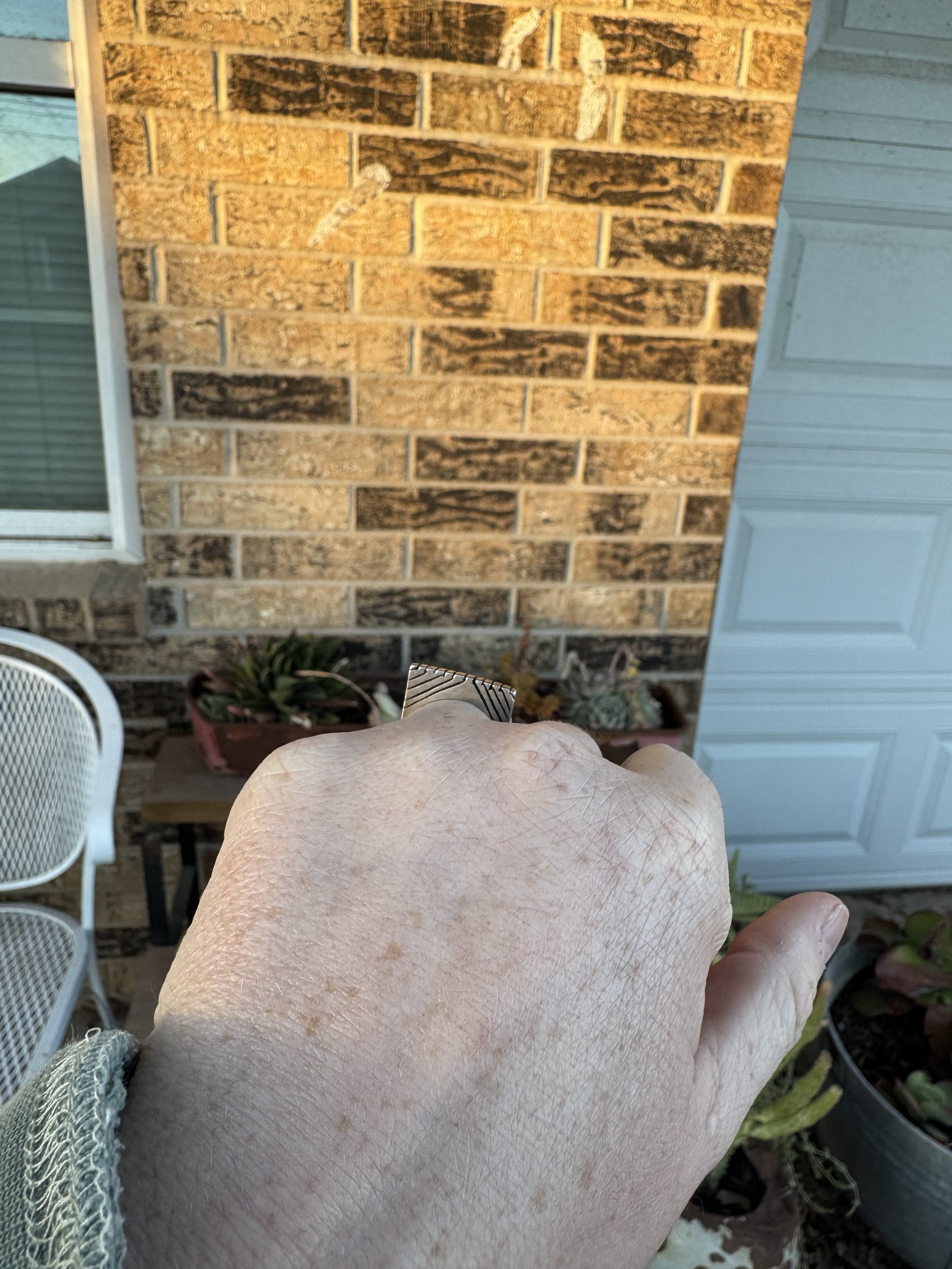 IMG_2290.jpeg
