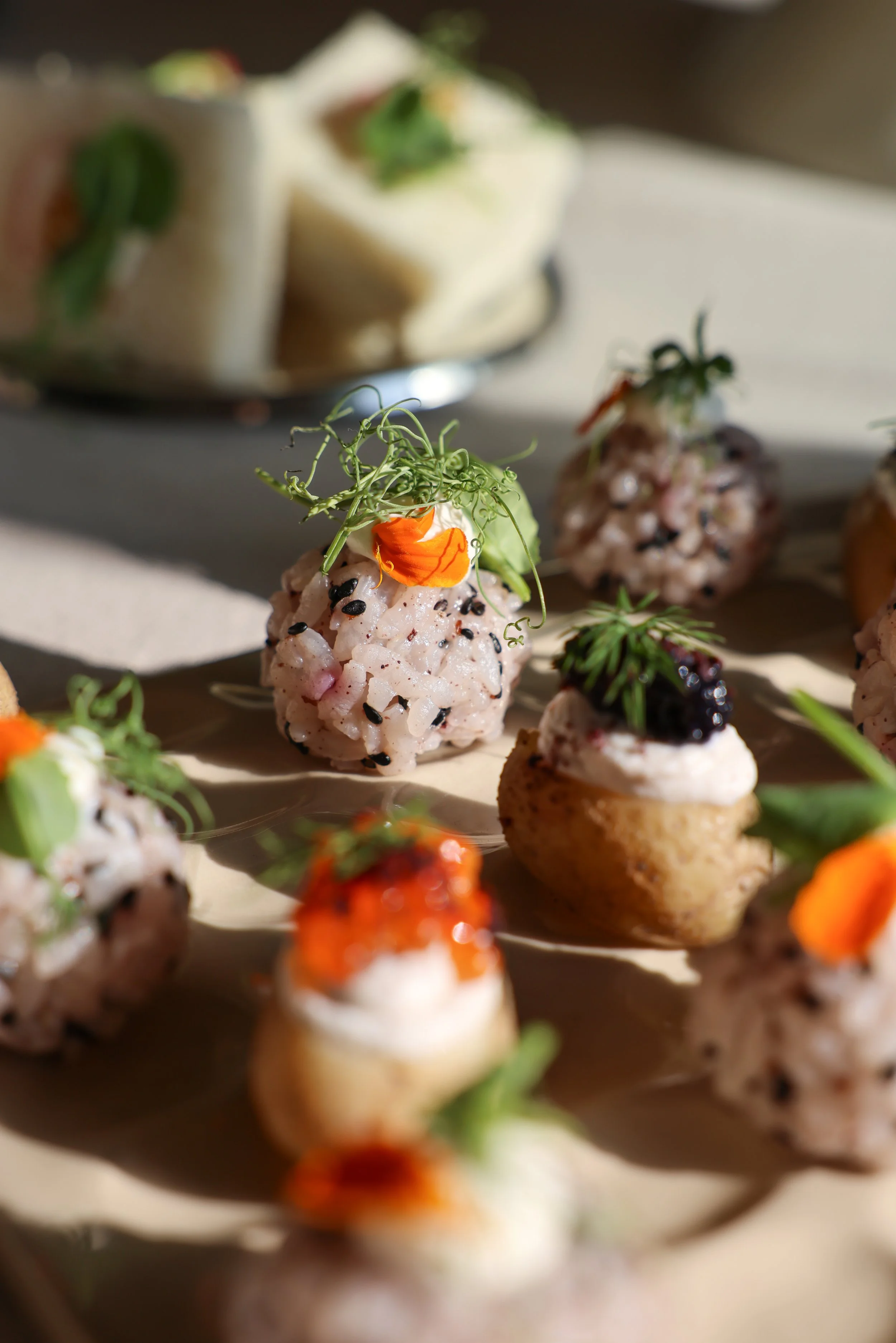 Miniatures de plats gastronomiques avec riz, sauces colorées, graines noires, herbes fraîches, et garnitures florales sur une assiette.