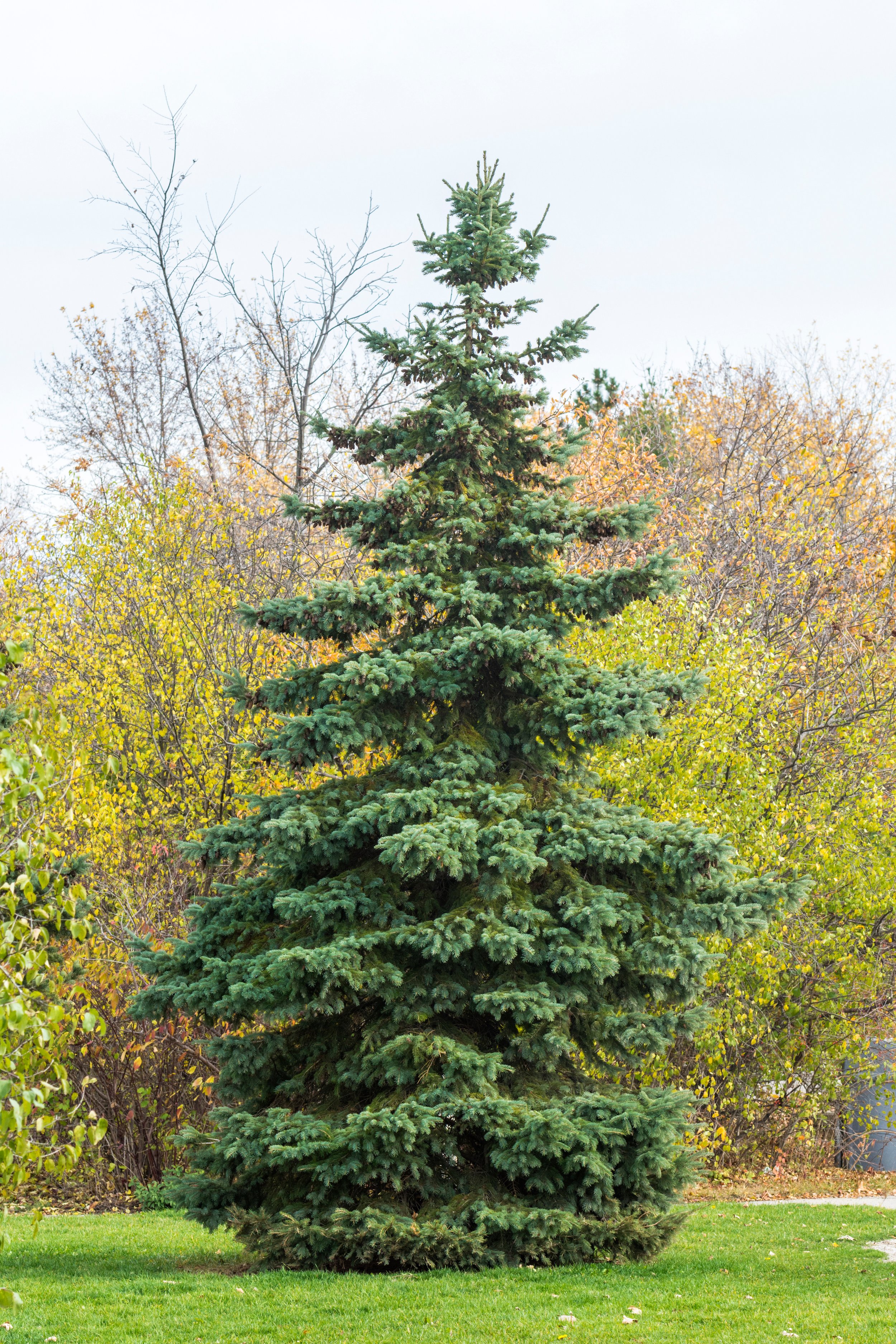 AdobeStock_555773939.jpeg