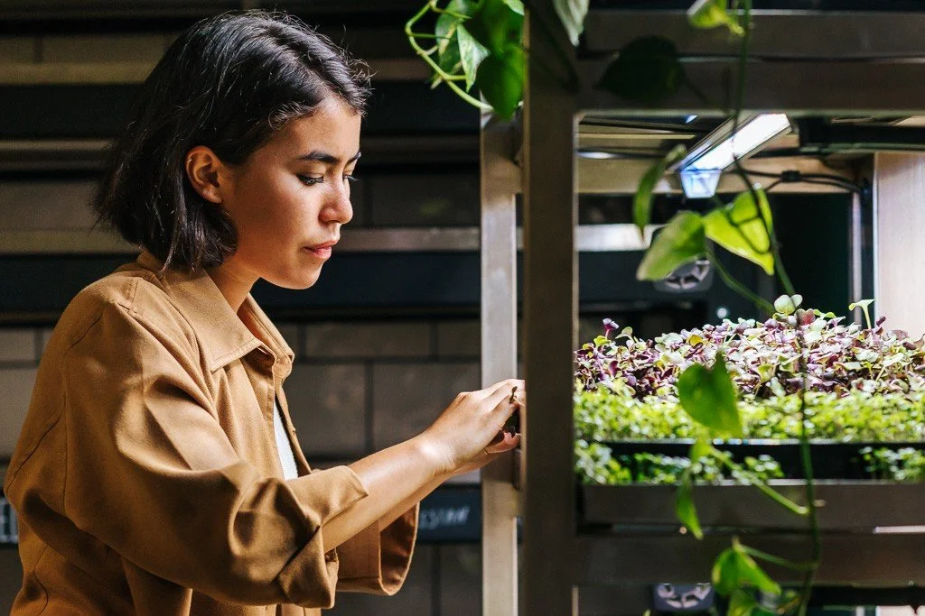 Reimagining Farmwall’s user experience — a digital education solution