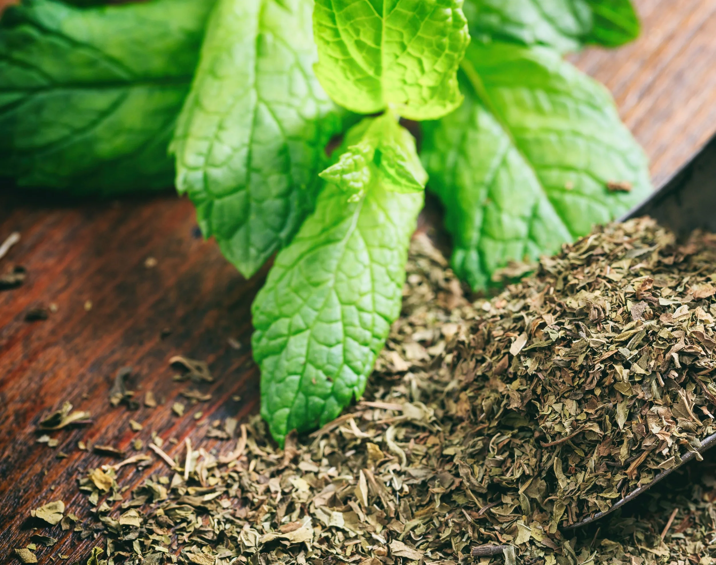 Spearmint - Dried, Cut and Sifted