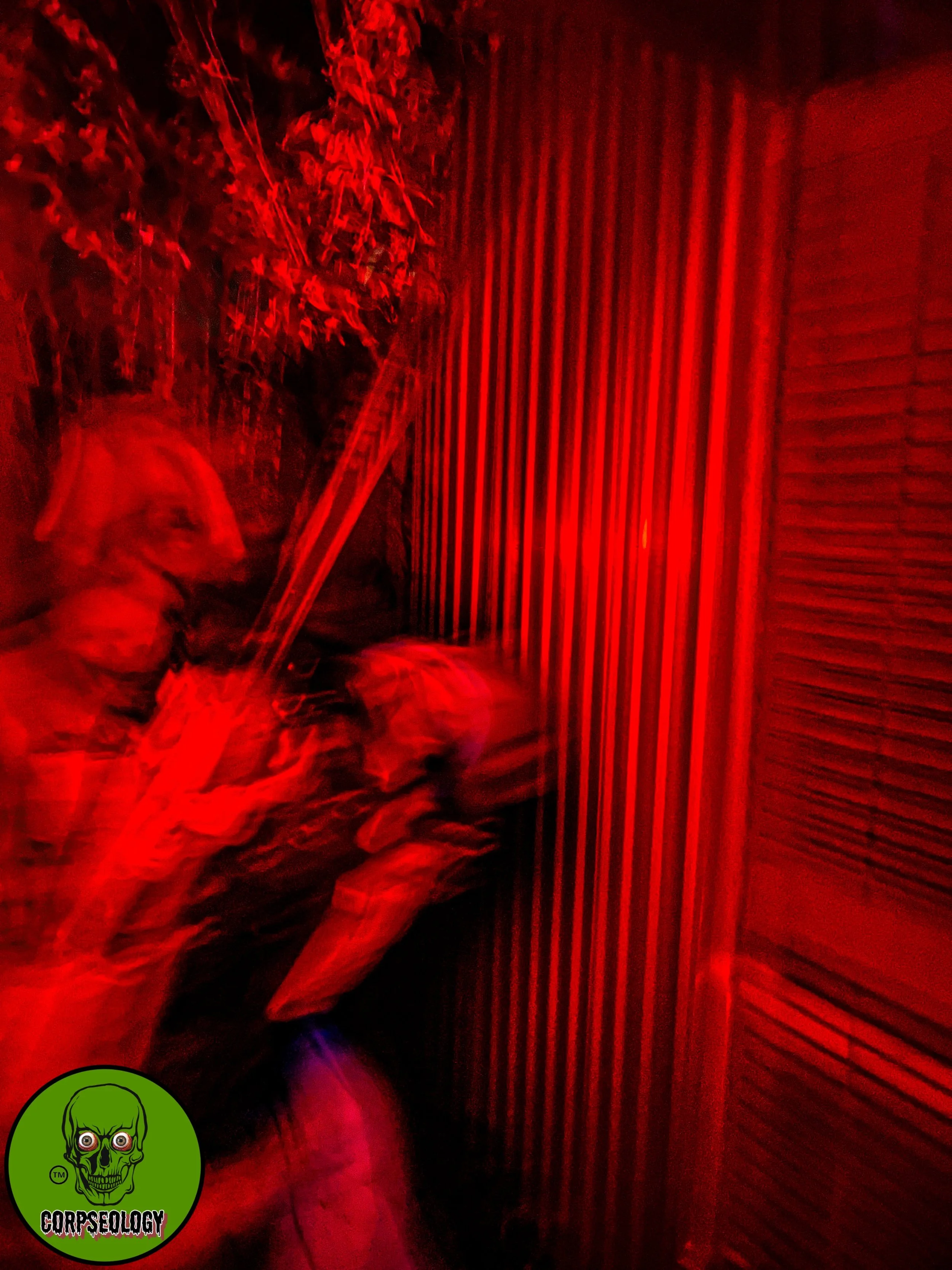 Corpseology Photos-10.jpeg