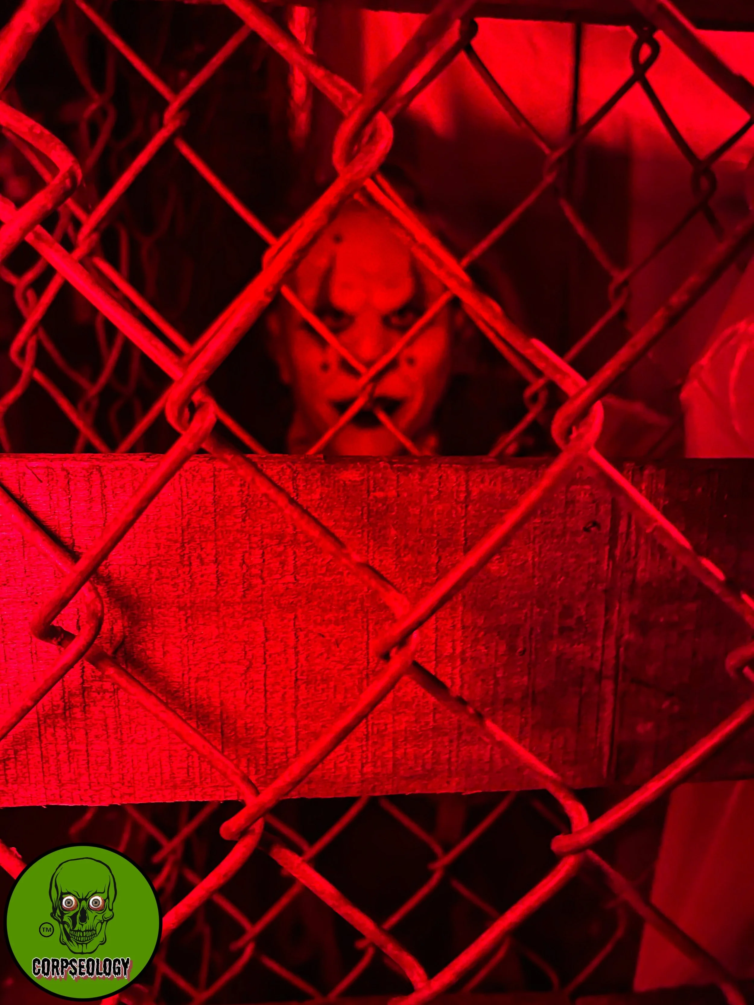Corpseology Photos-2.jpeg