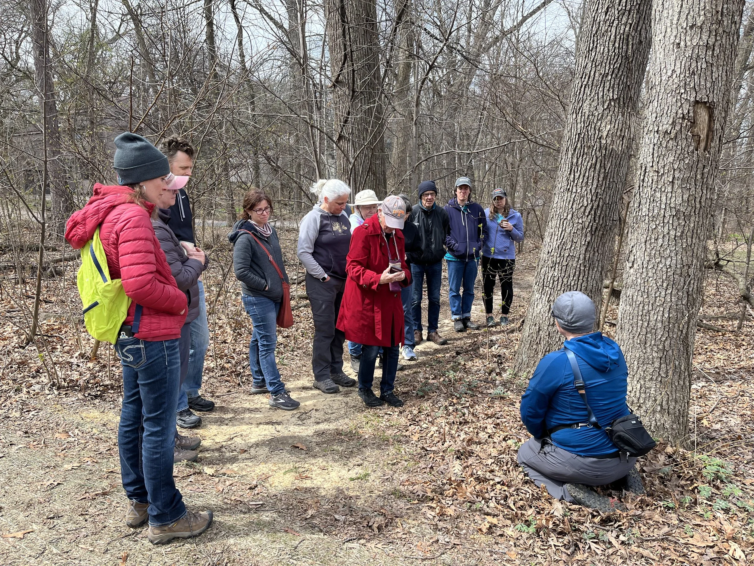 Guided walk through Hoyt Park
