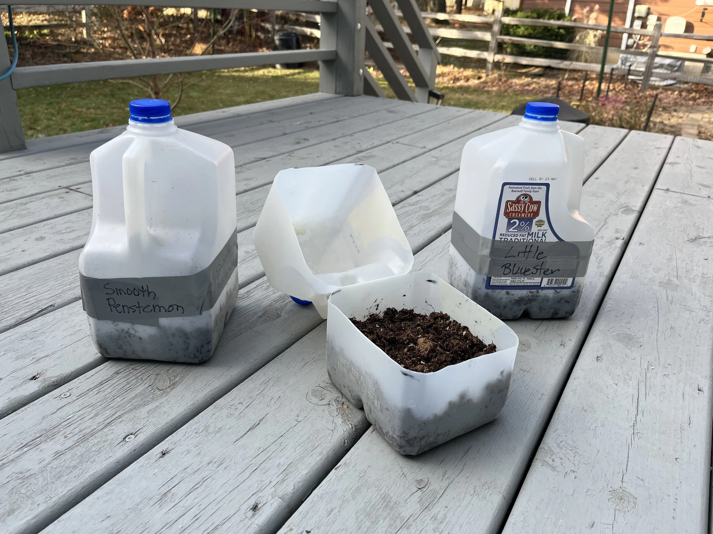 Winter Sowing Workshop