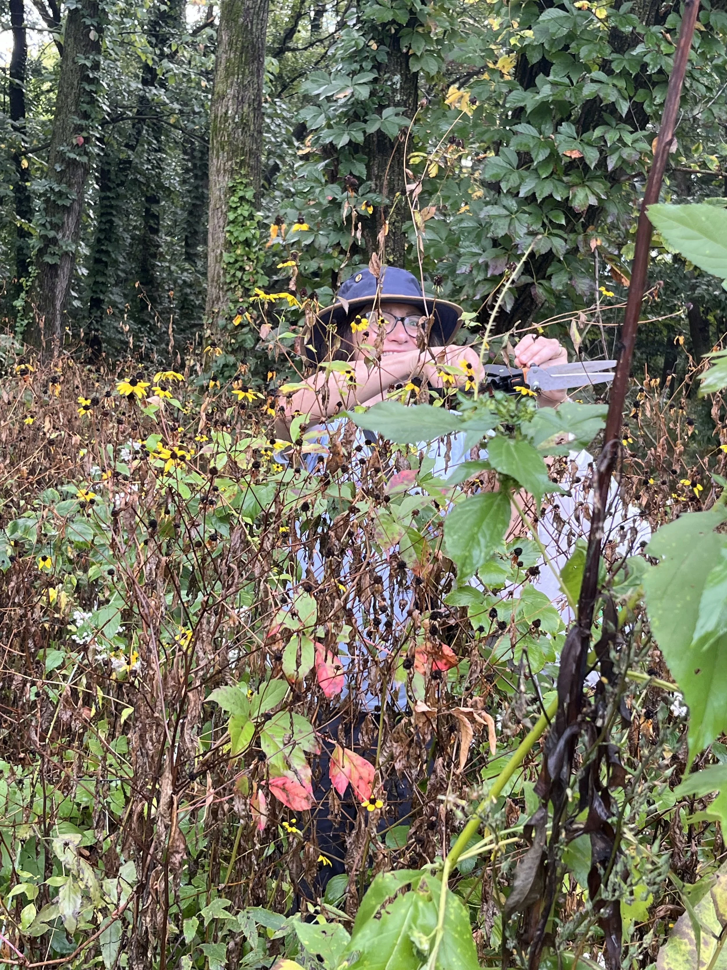 FoHP Volunteer Workday 