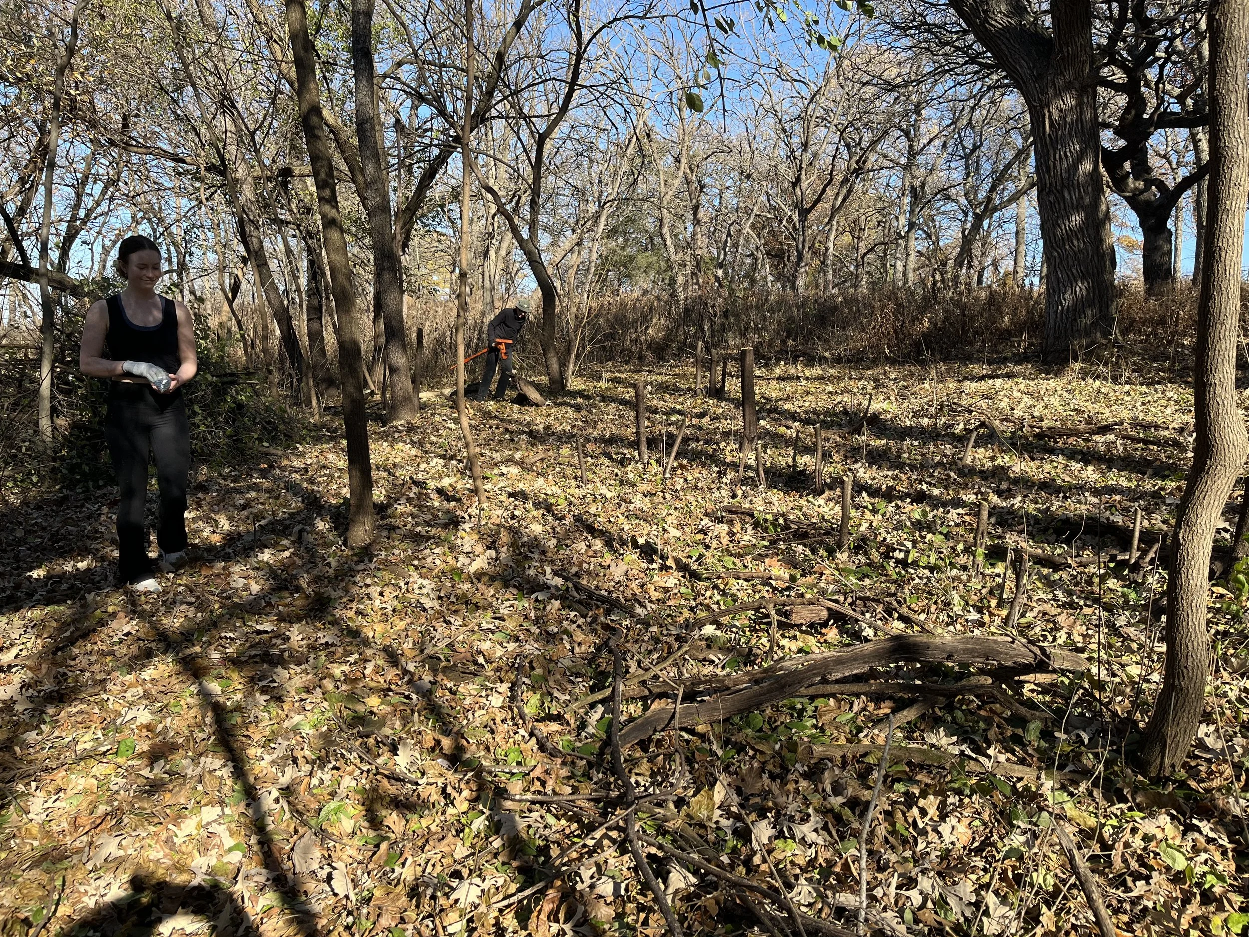 FoHP Volunteer Workday