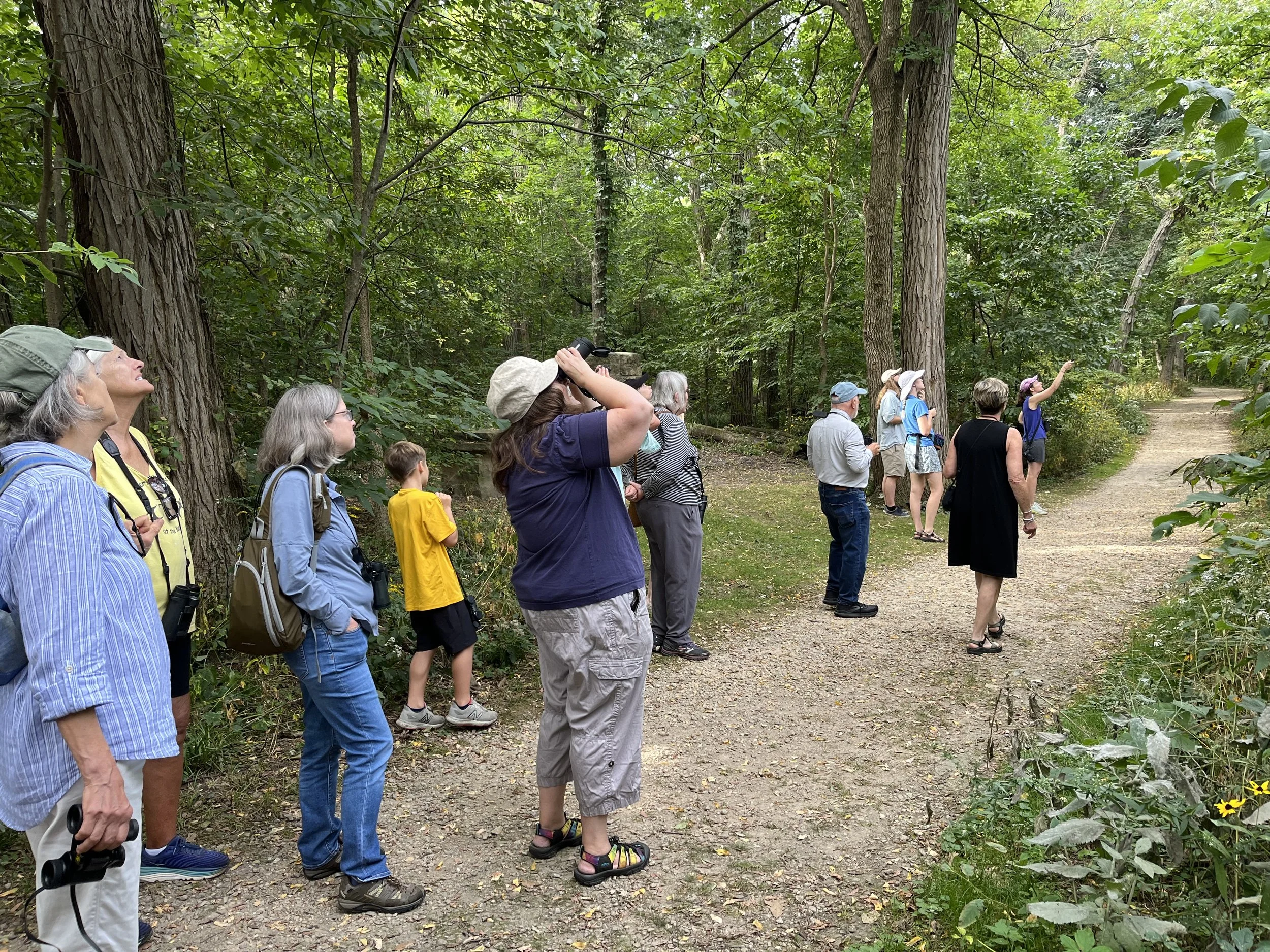 Guided Birding Walk- Spring Migrants
